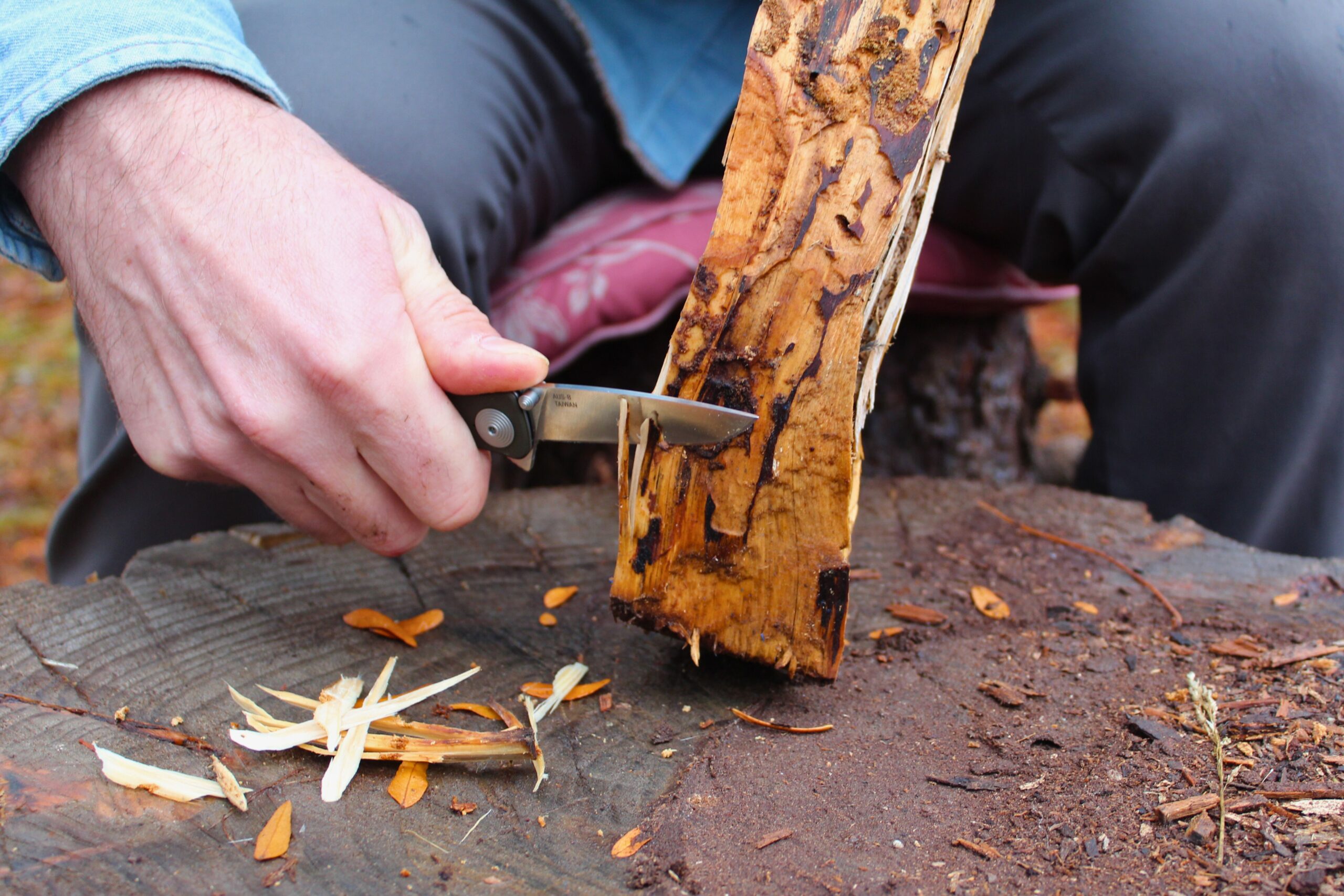 Using the SOG Twitch II to shave small pieces off of firewood