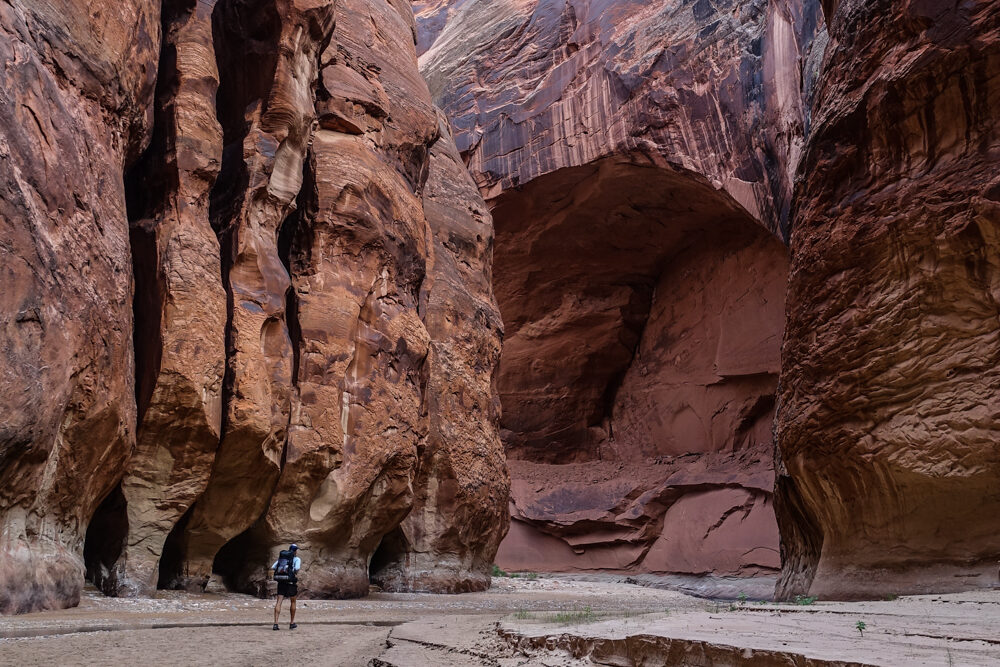 a hiker appears tiny below redstone walls in the buckskin canyon as he walks beside a shallow river 