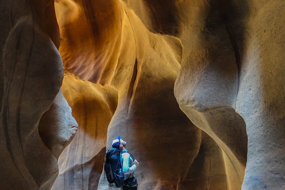 a hiker looks up the undulating sandstone walls of paria canyon in utah