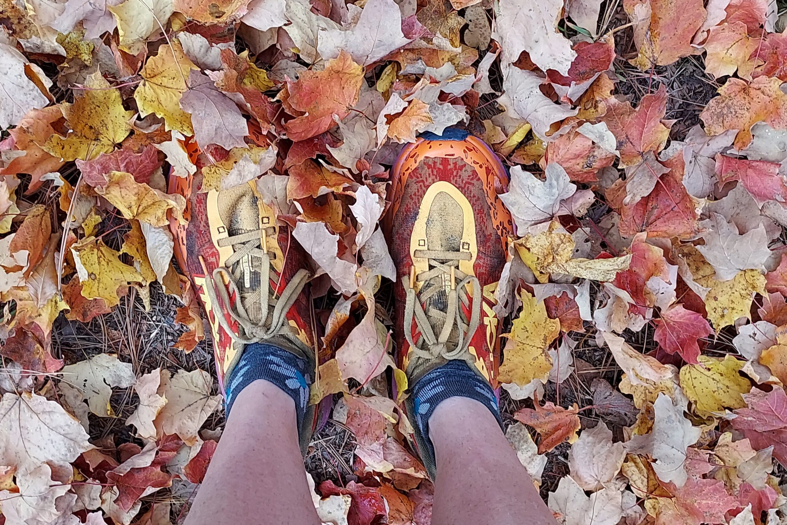 Hoka Women's Speedgoat 6 in the leaves