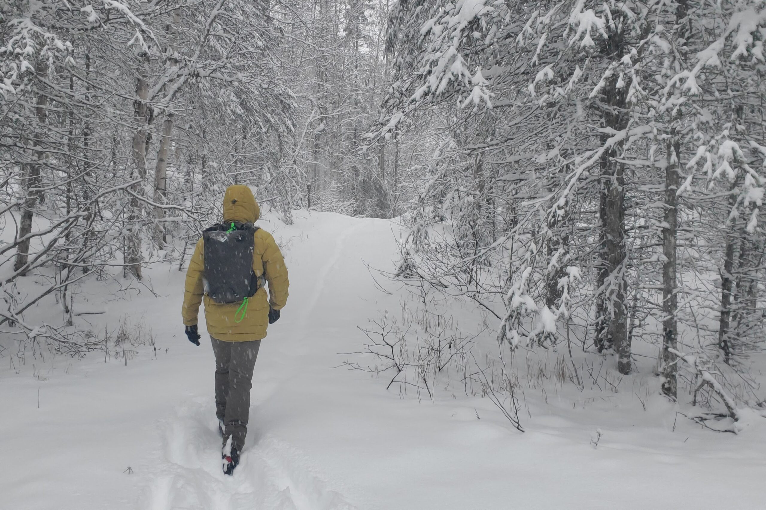 A man walks down a snowy forest trail