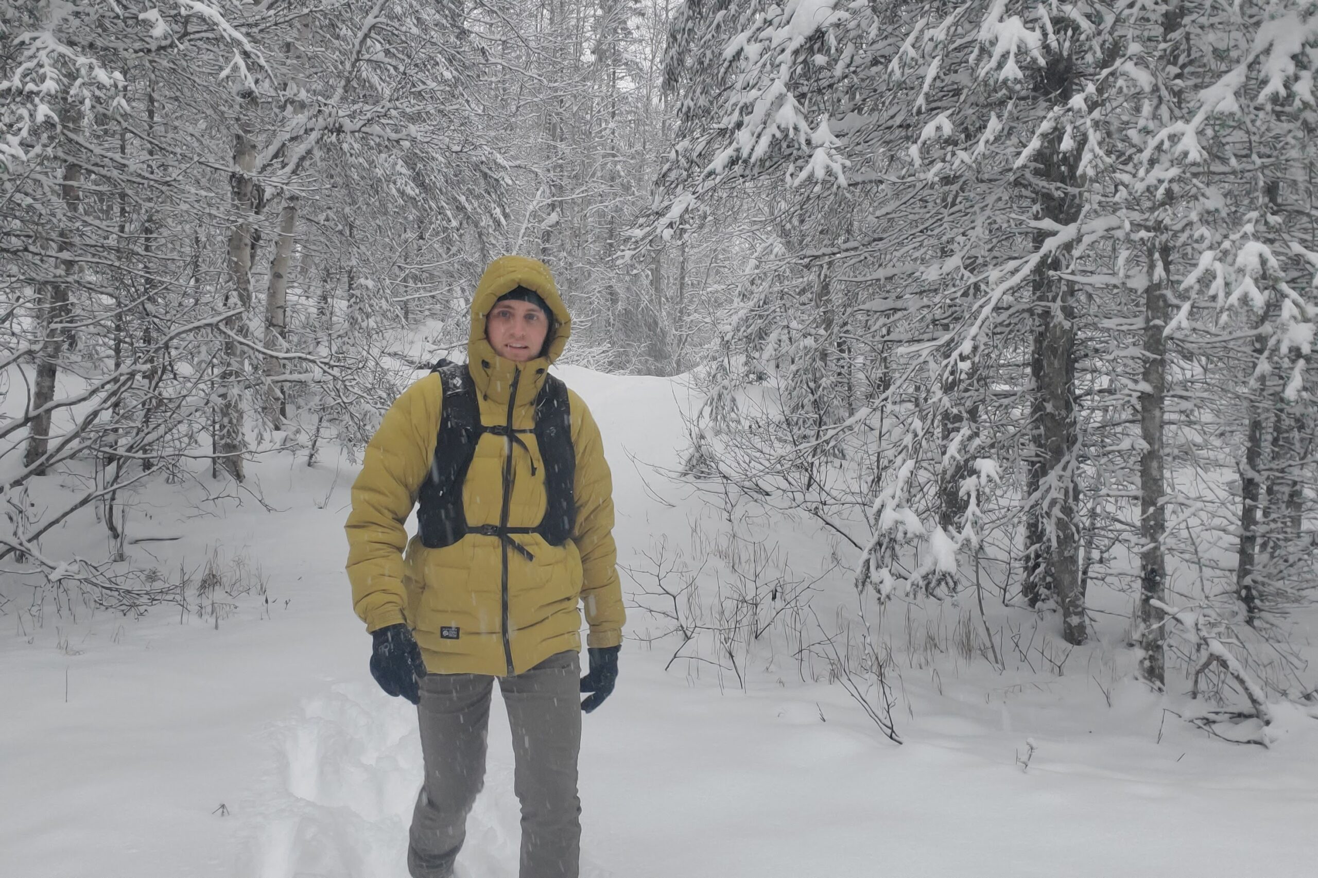 A man walks through a snowy forest.