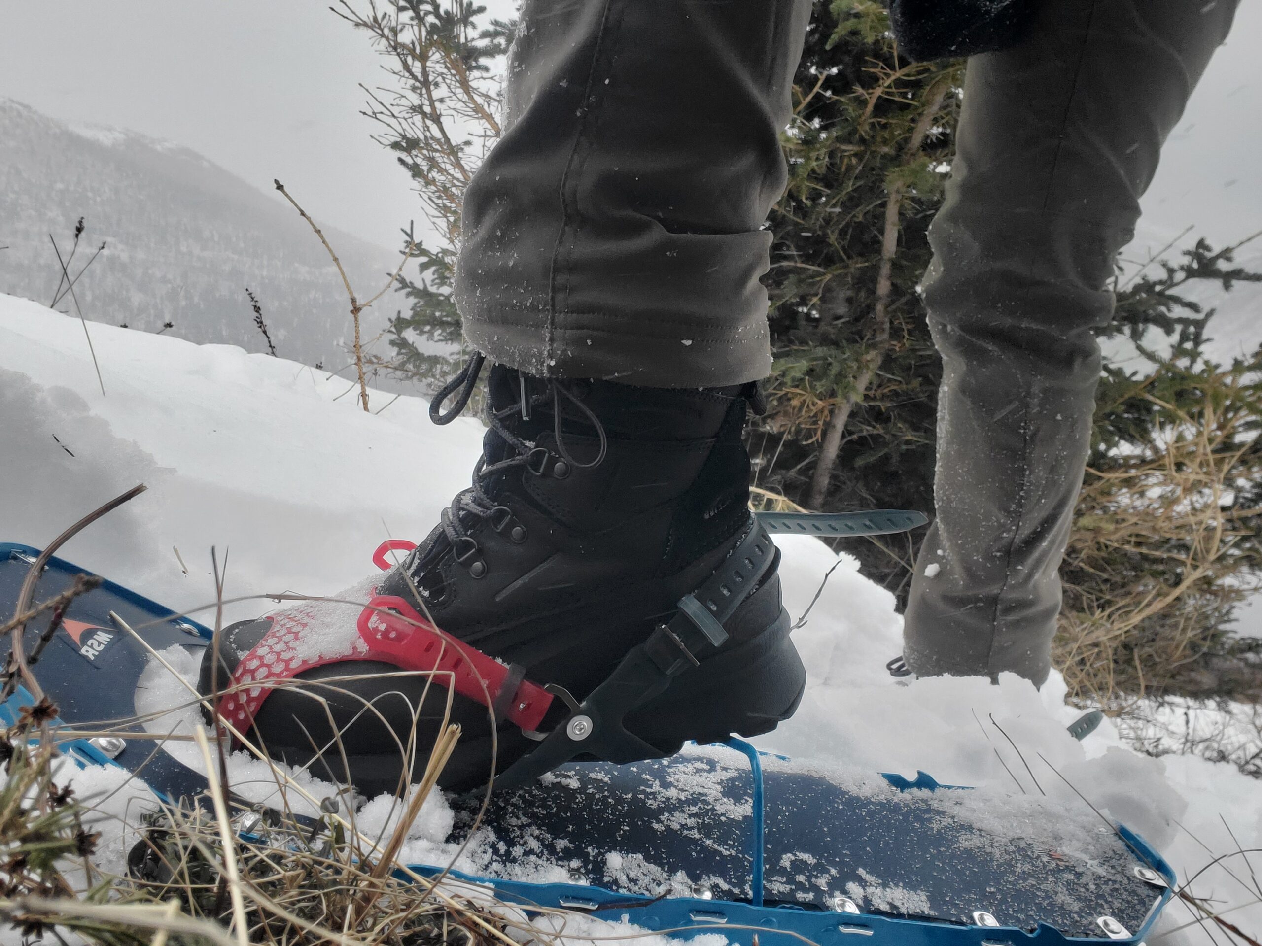 A pair of boots strapped into snowshoes