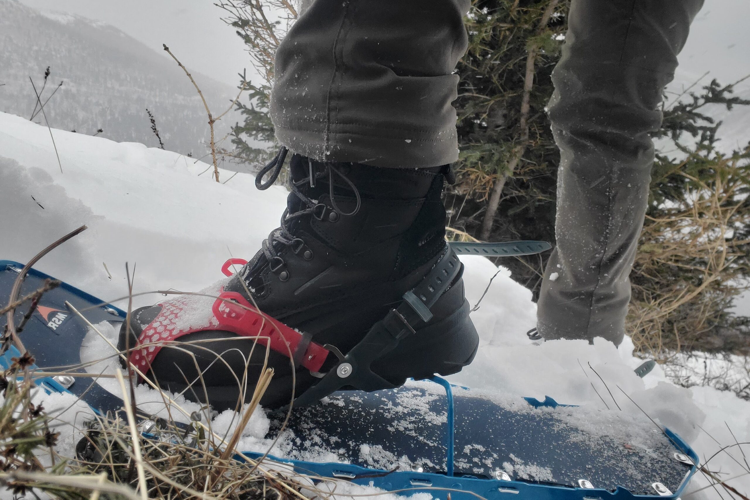 A closeup of the details of snowshoes.