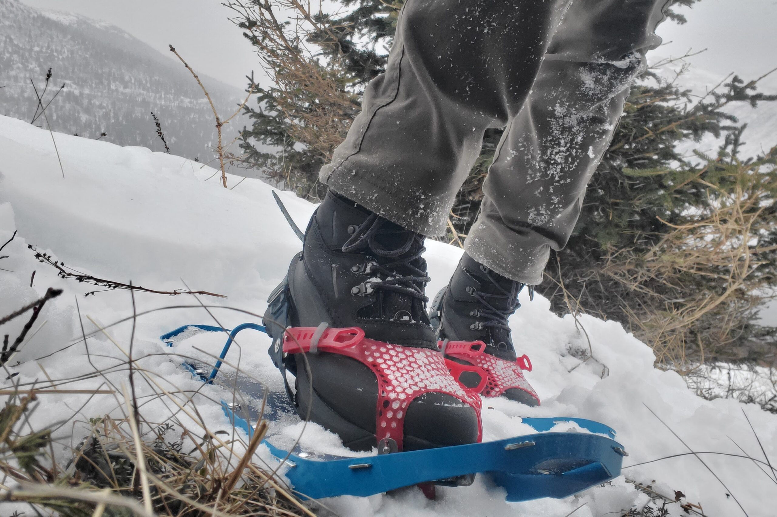 Rubber webbing of the binding of snowshoes.