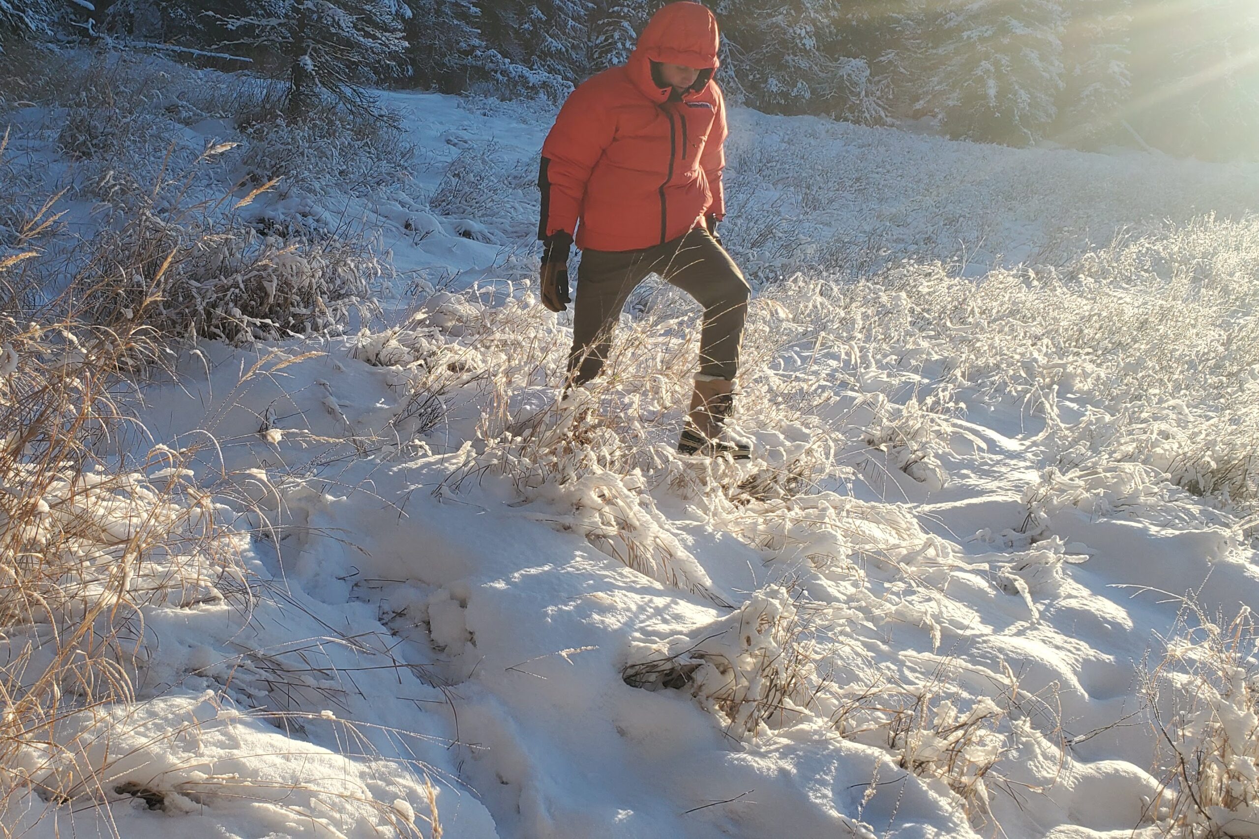 A man walks through a sunny and snowy meadow