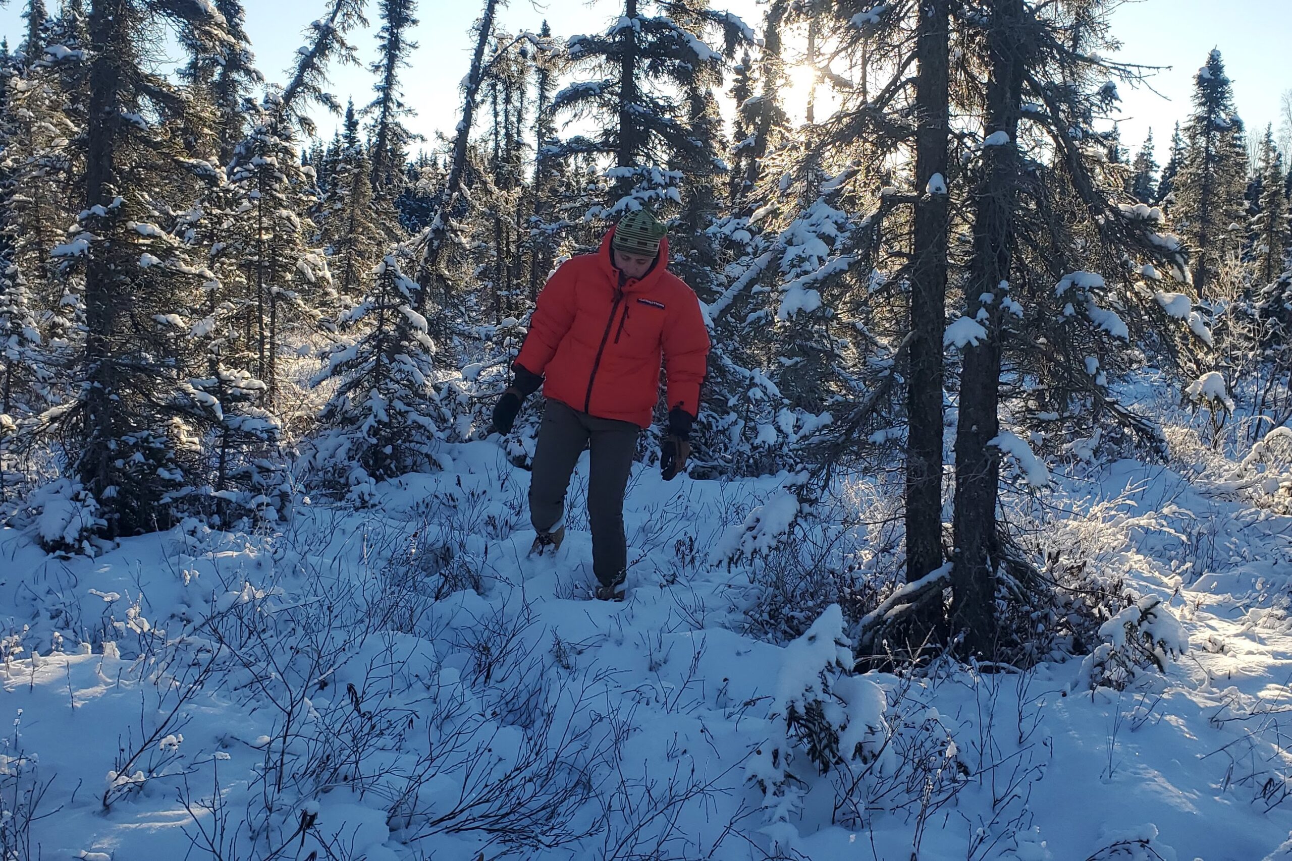 A man walks through deep snow in a meadow.