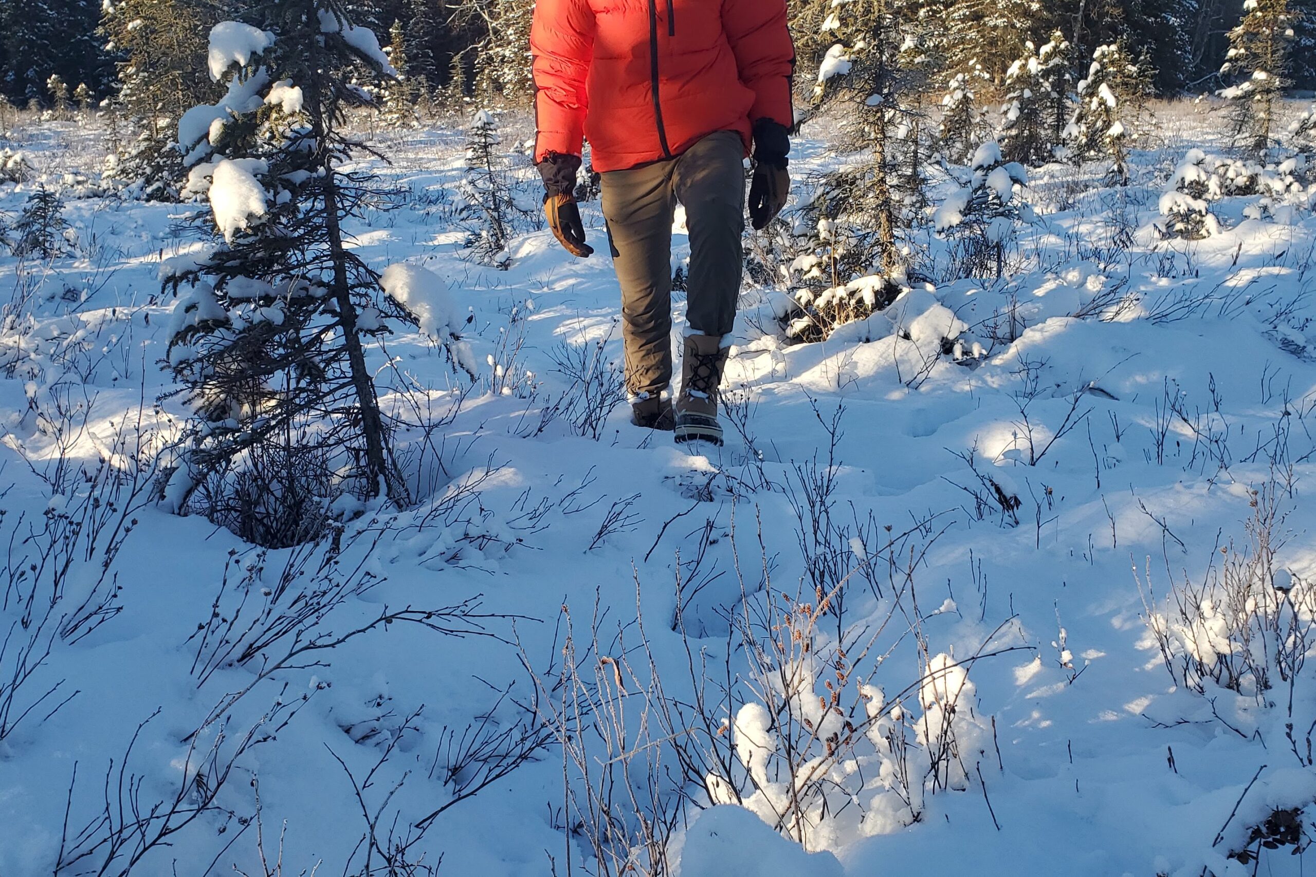 A man walks toward the camera through a snowy meadow.