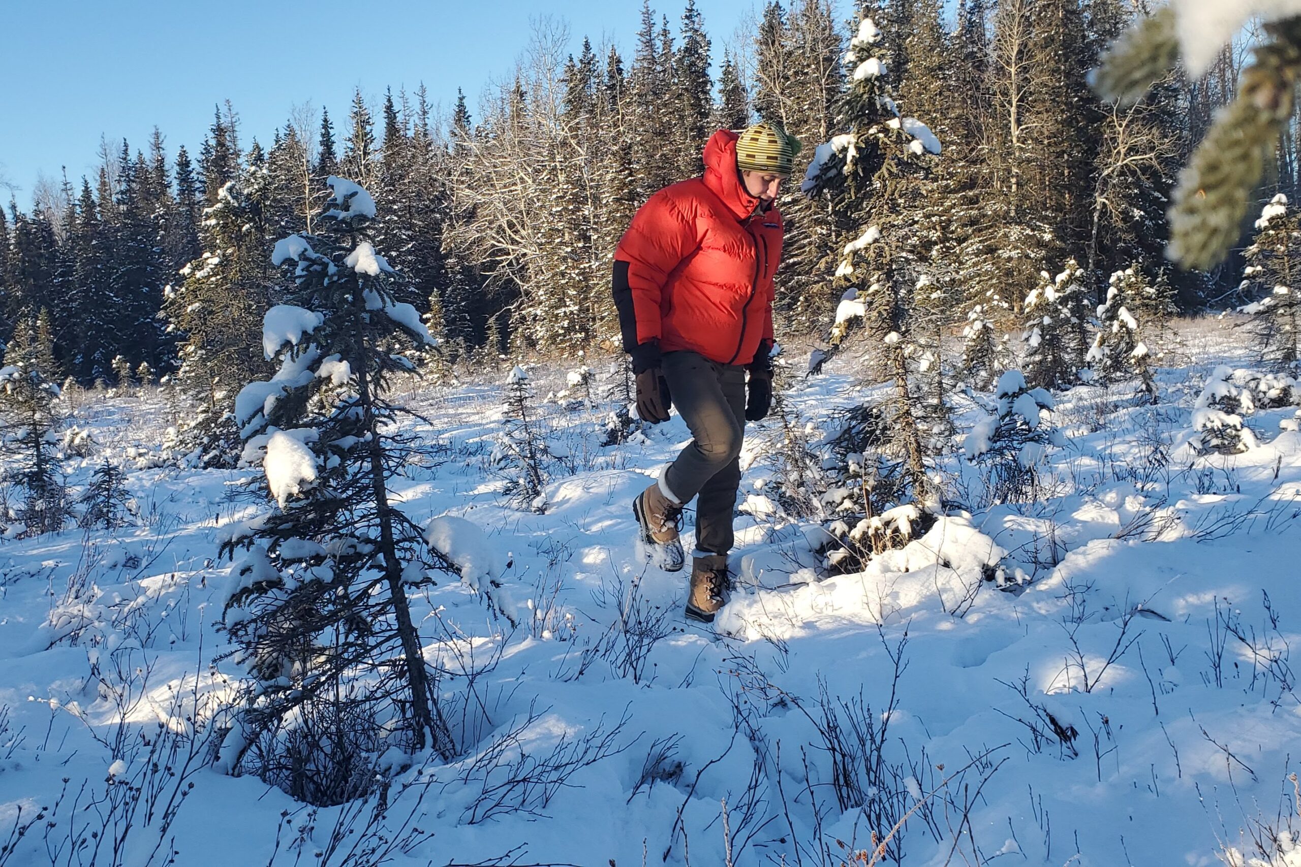 A man steps through a sunny forest showing boots above the snow.