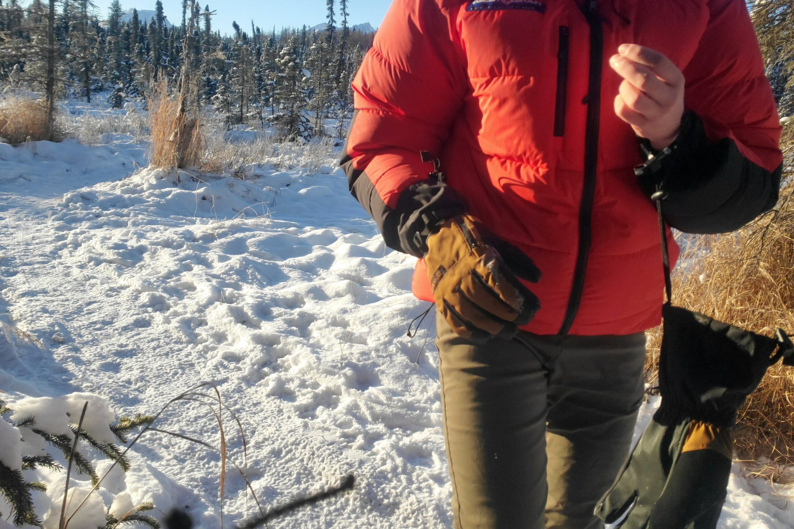 A closeup of gloves hanging by their leashes.