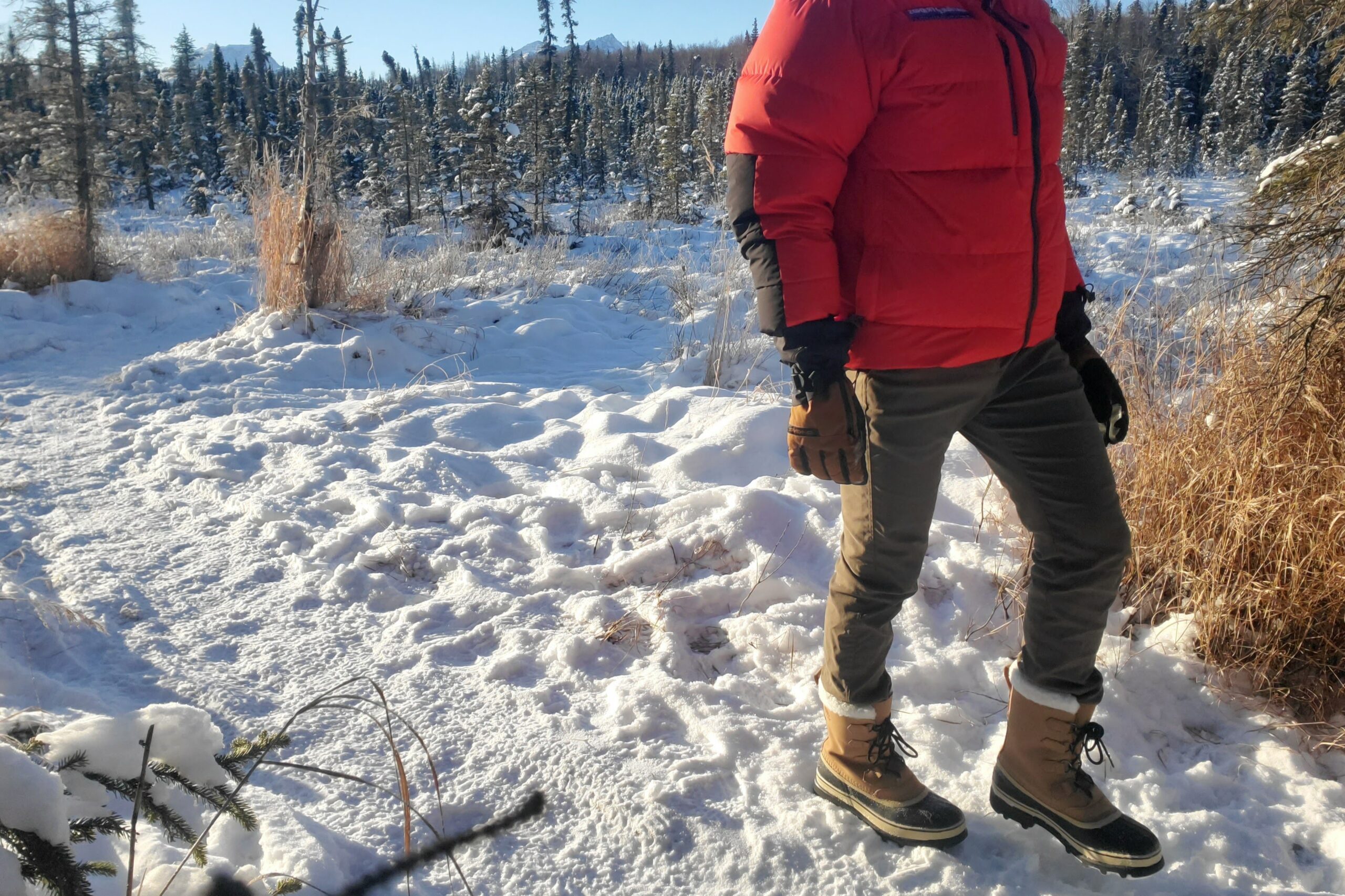 A man walks down a sunny trail.