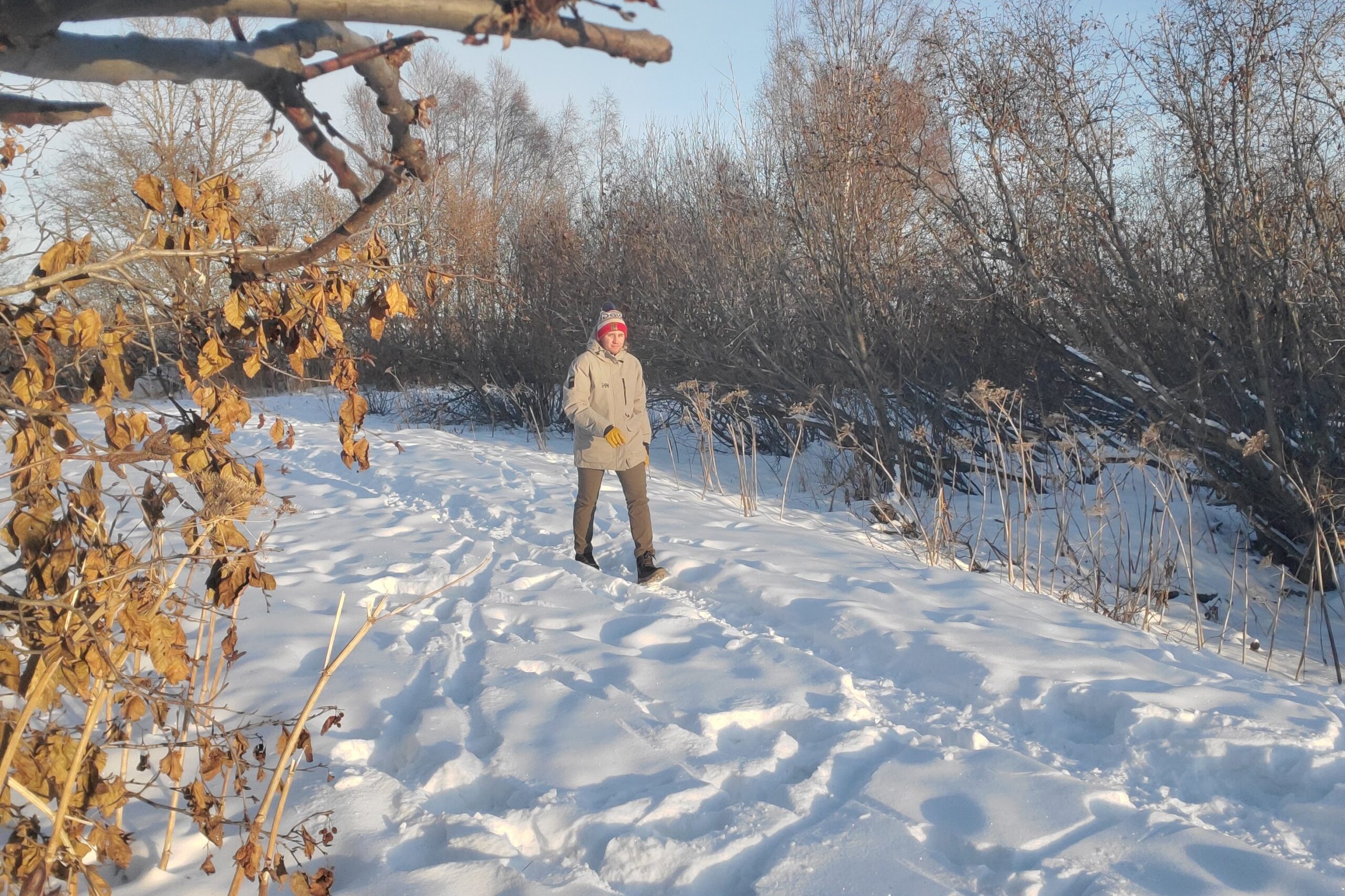 A man walks down a snowy path