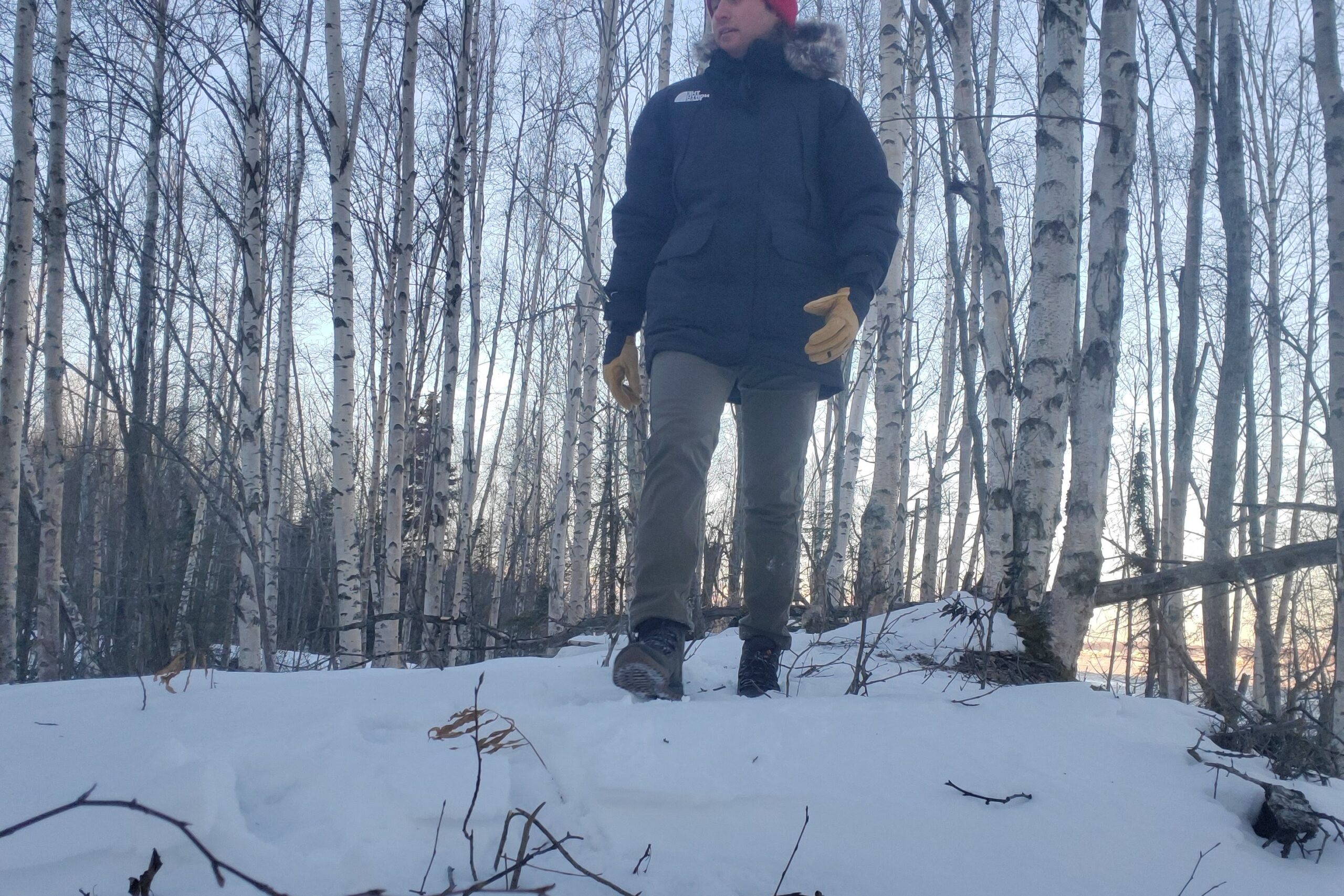 A man walks through snow covered birch trees.