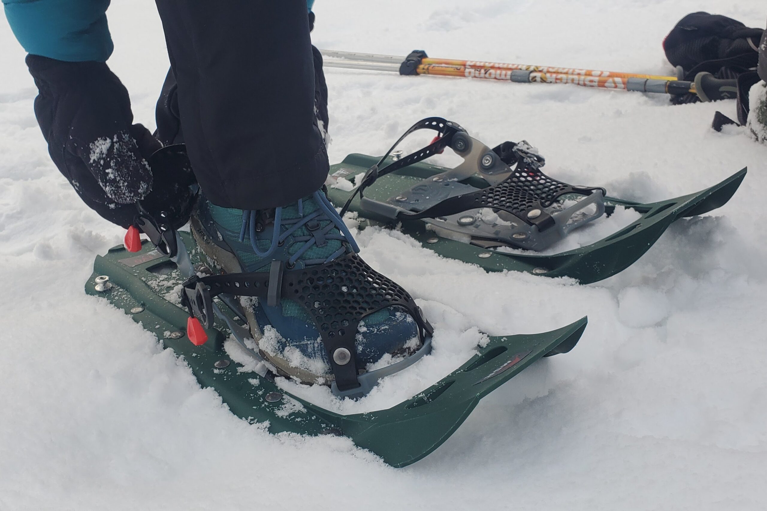 A closeup of the bindings of a pair of snowshoes.