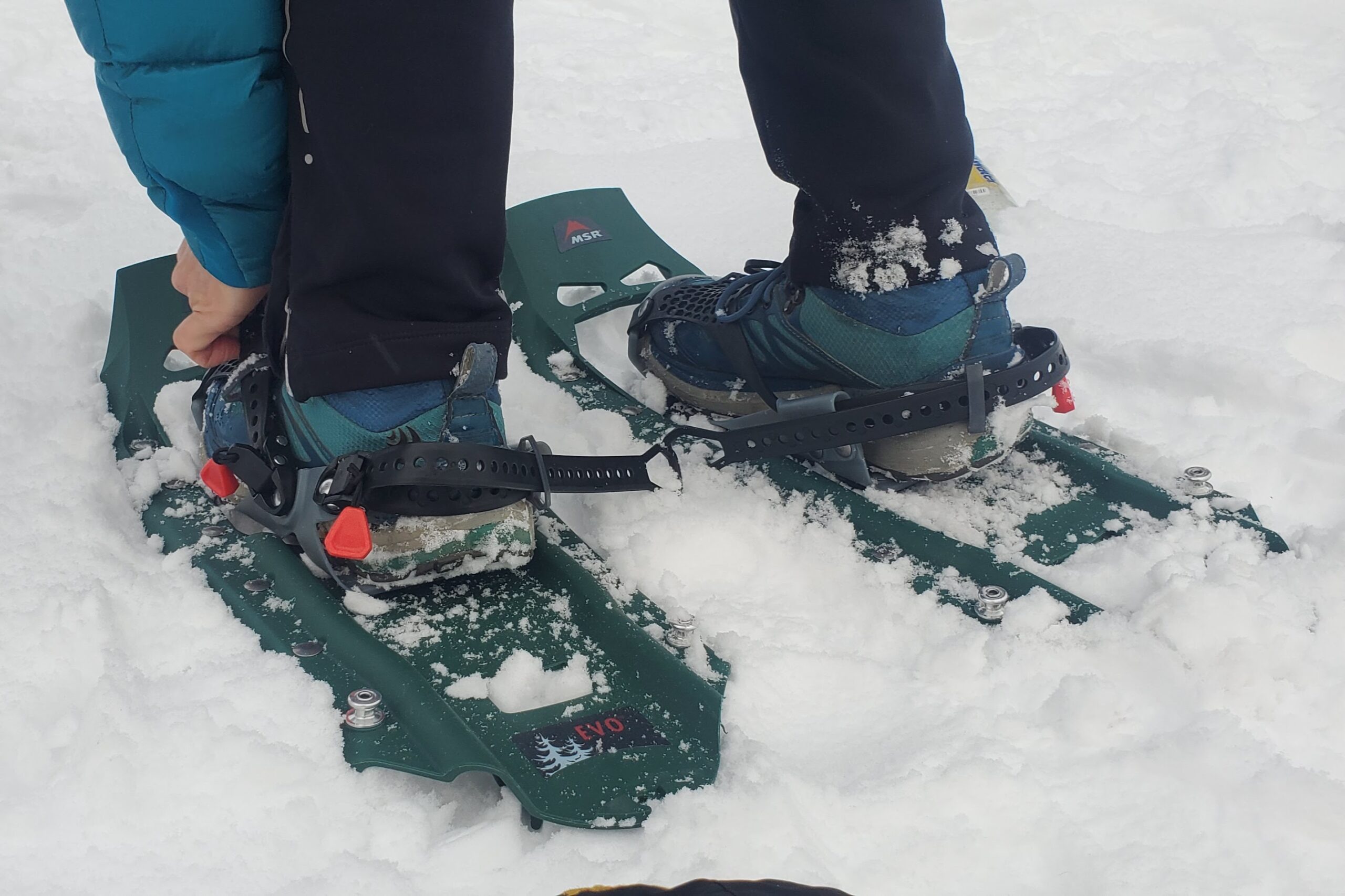 Heel straps of a pair of snowshoes