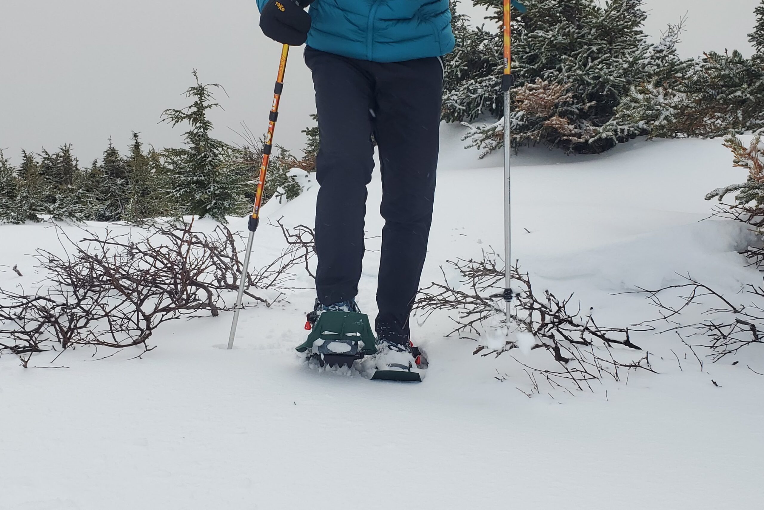 A closeup of the teeth on snowshoes.