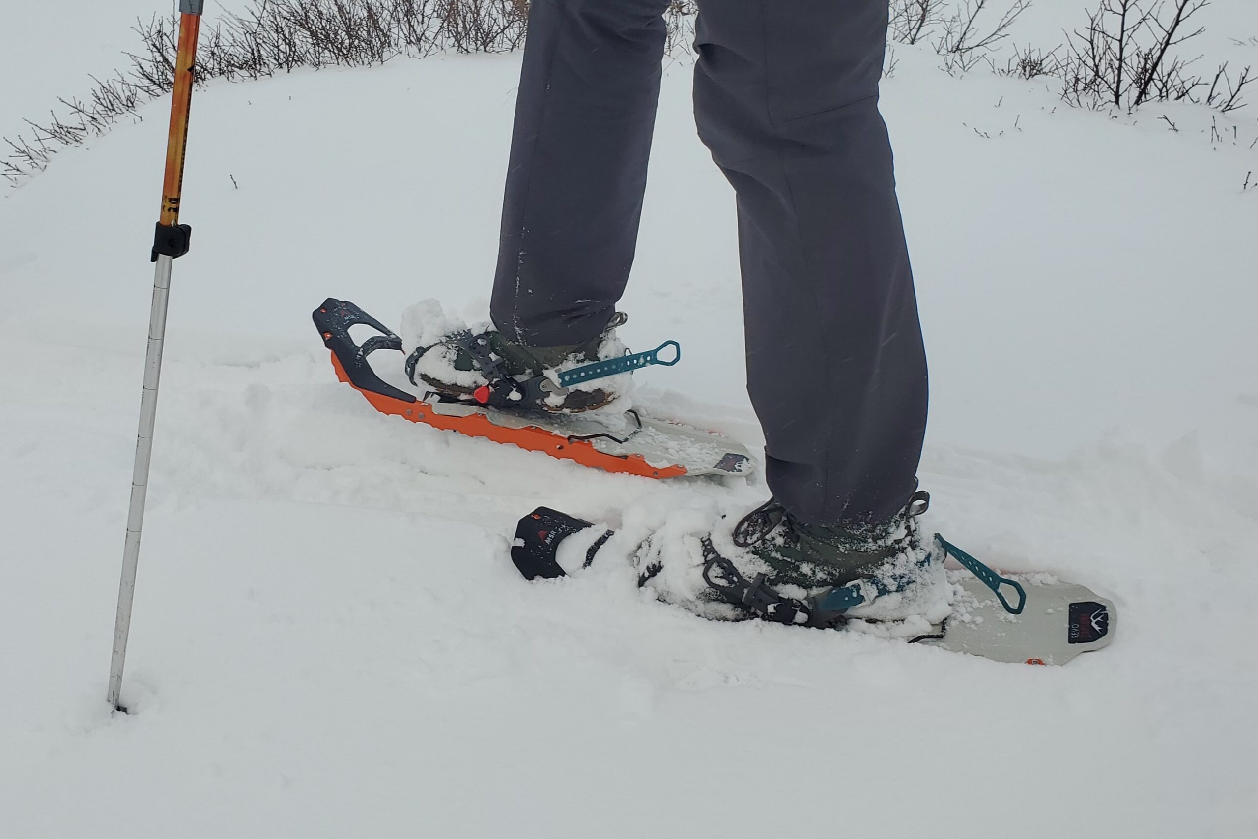 A pair of snowshoes on a wintery backdrop.