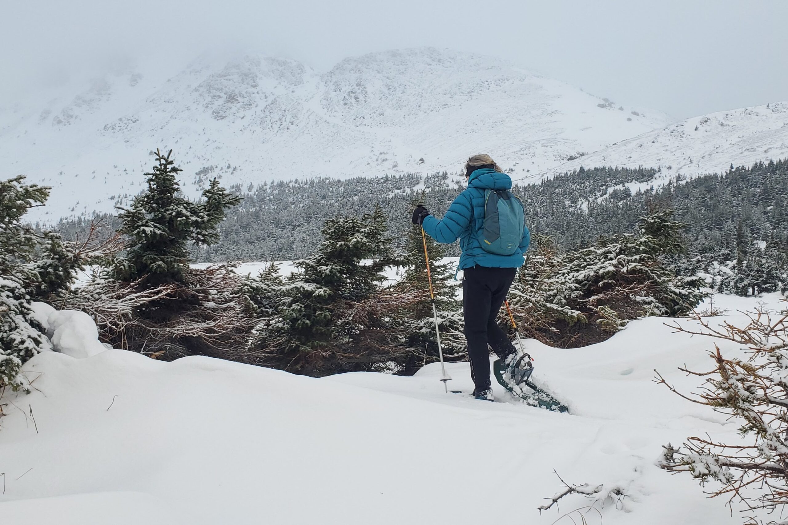 A woman walks through snow covered trees wearing snowshoes.