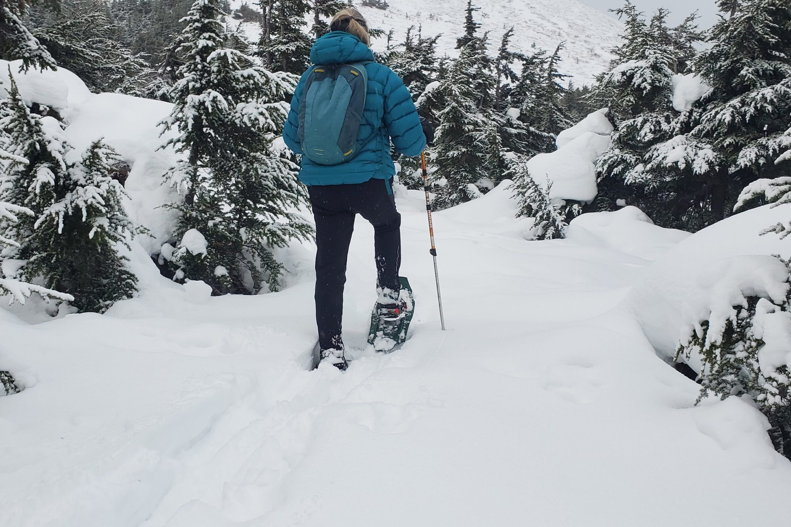 A woman walks through a dense forest in the winter.