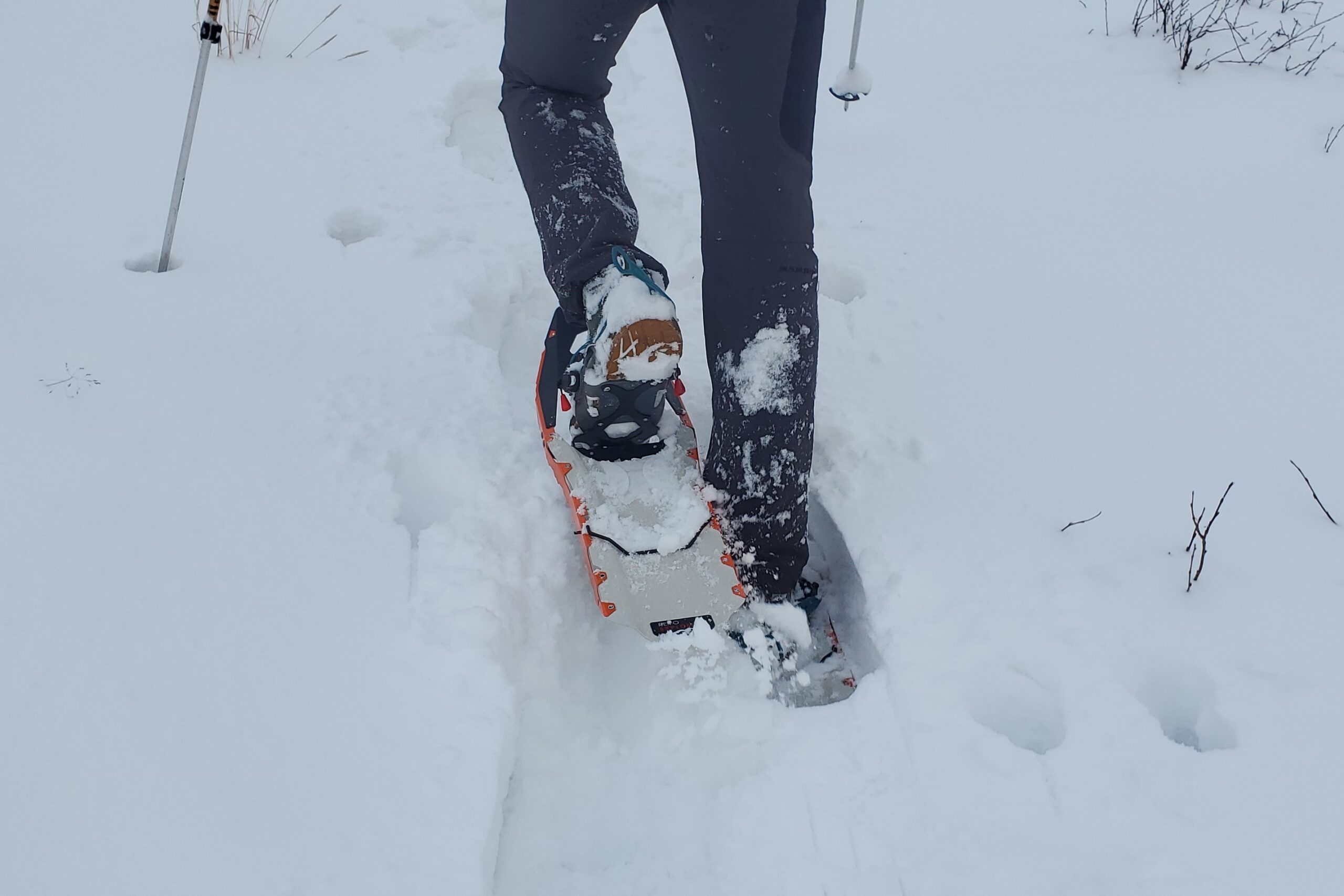 A closeup of snowshoes walking uphill