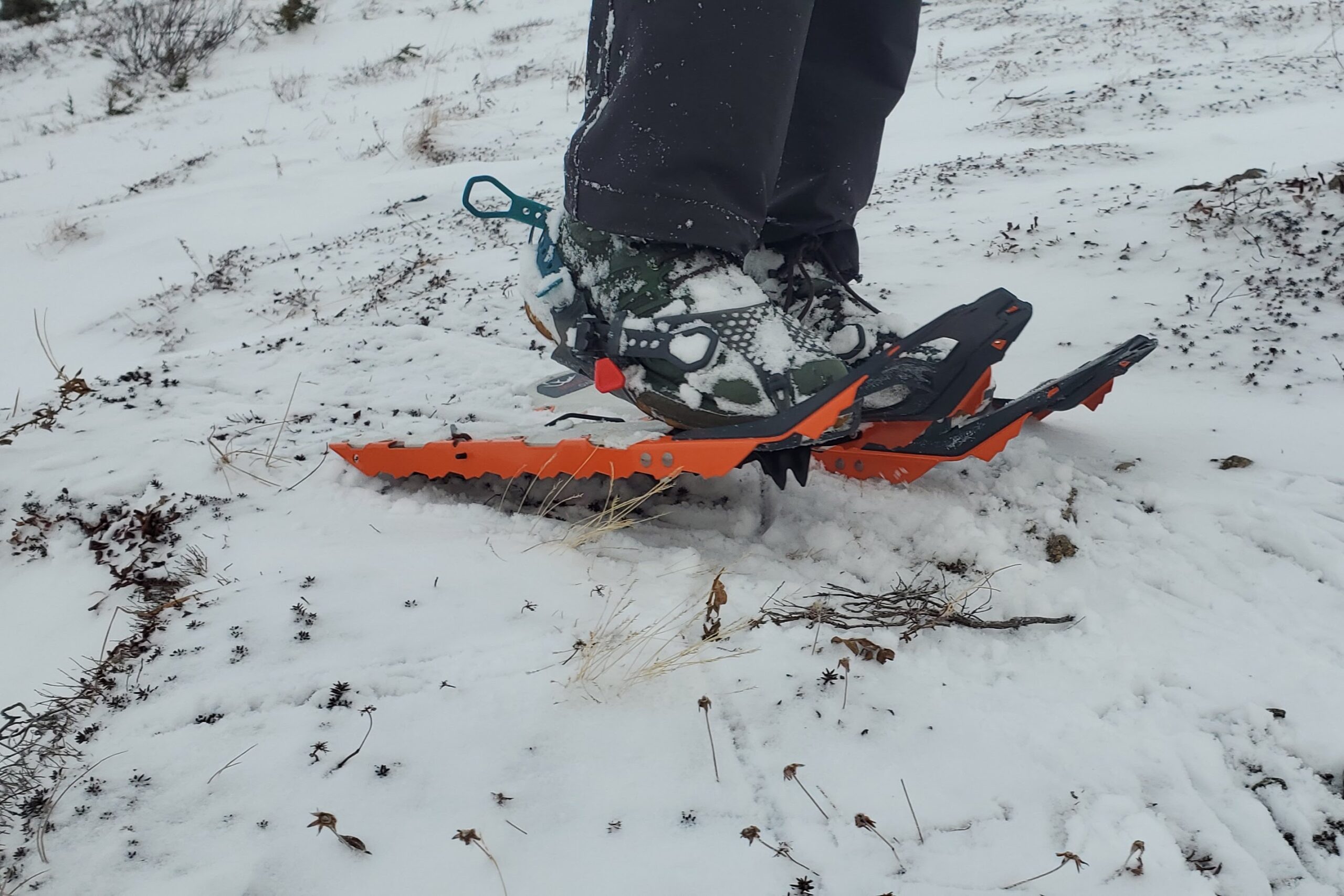 A closeup of the frame of snowshoes