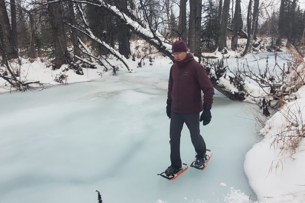 A man walks through a forest wearing snowshoes