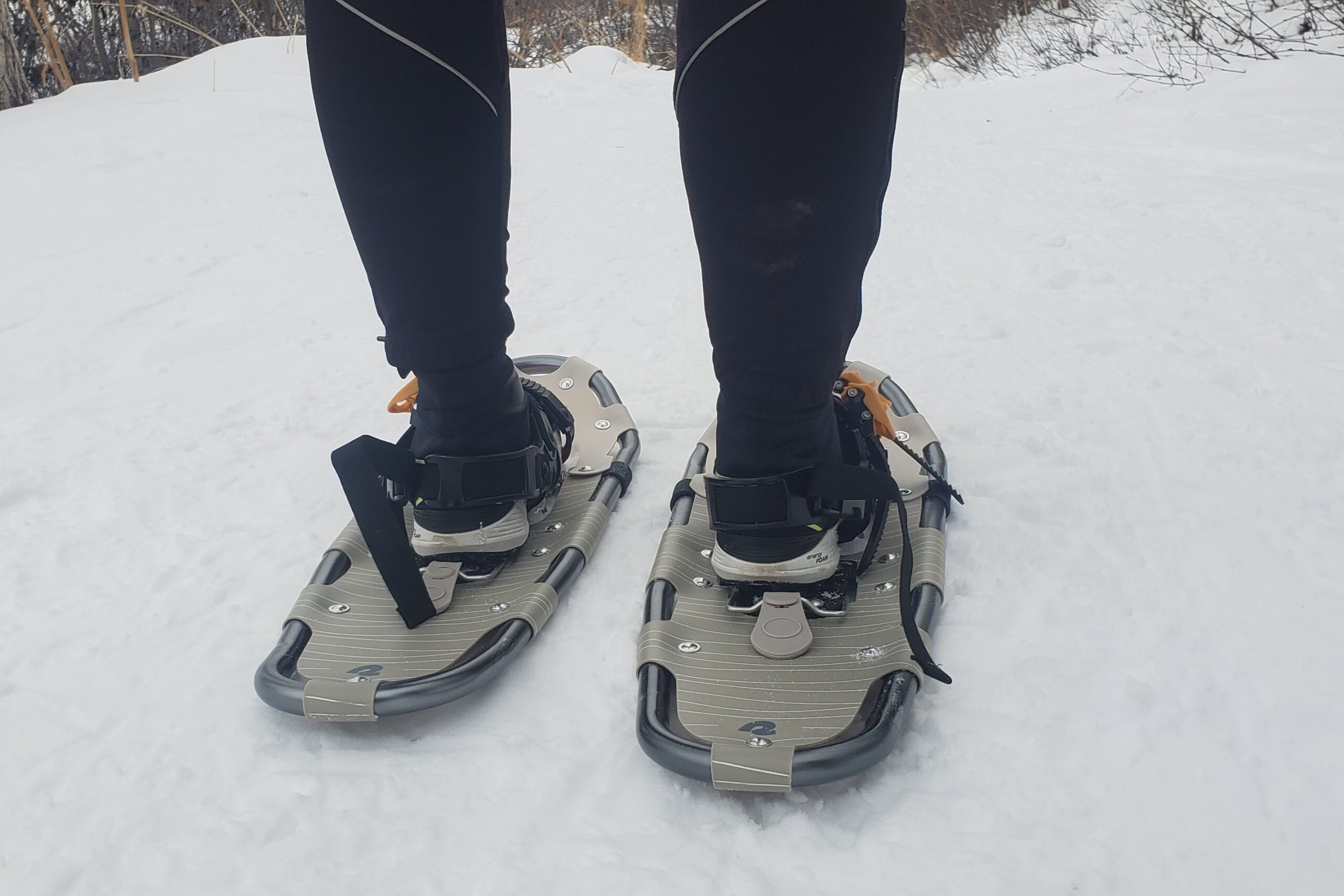 A shot of the back of snowshoes.