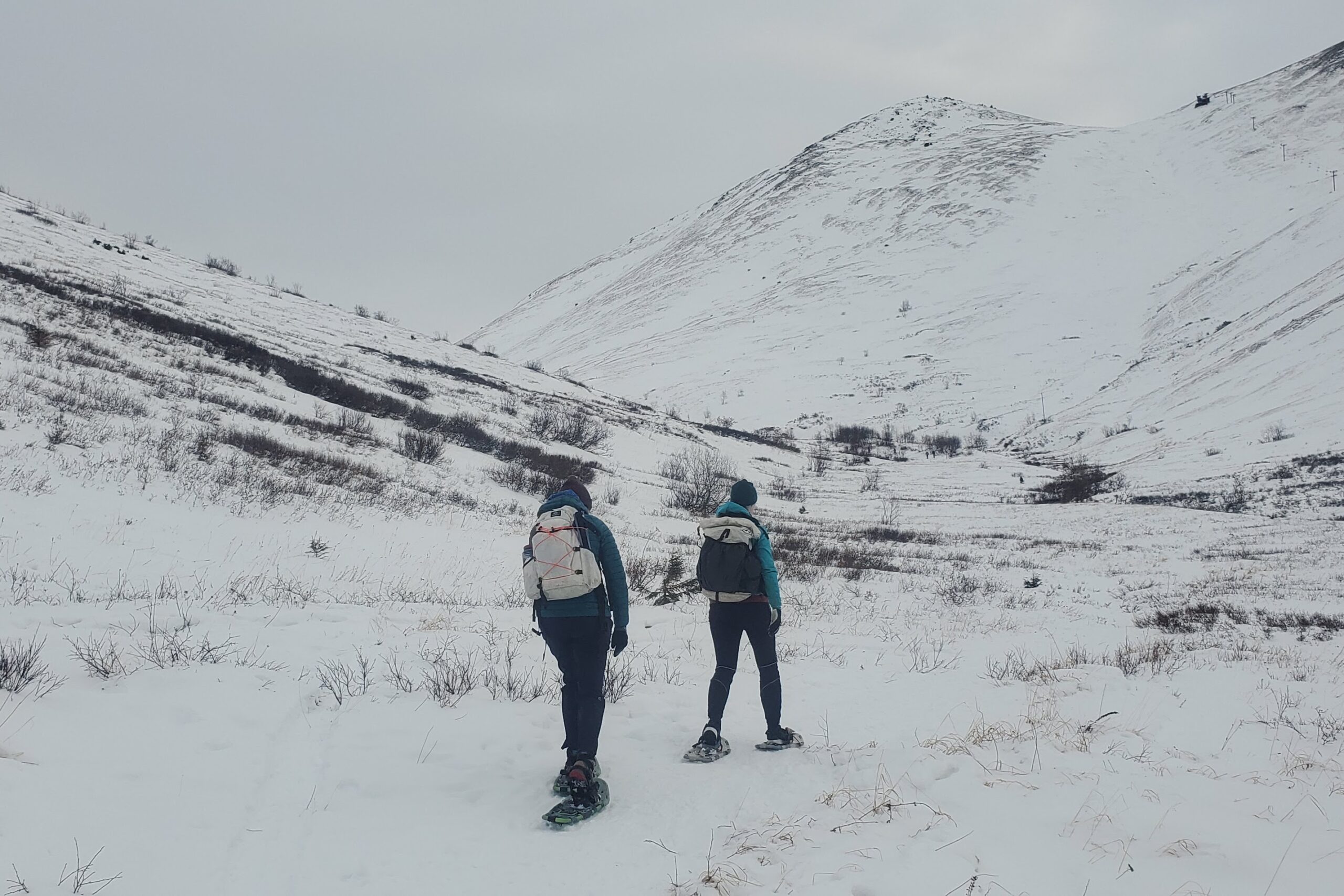 Two people walk through a snowy landscape wearing snowshoes.