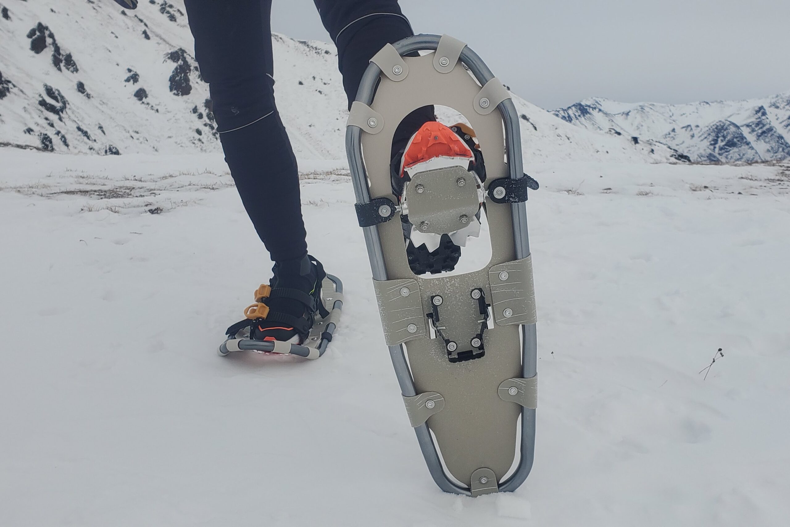 A closeup of the teeth on a pair of snowshoes.