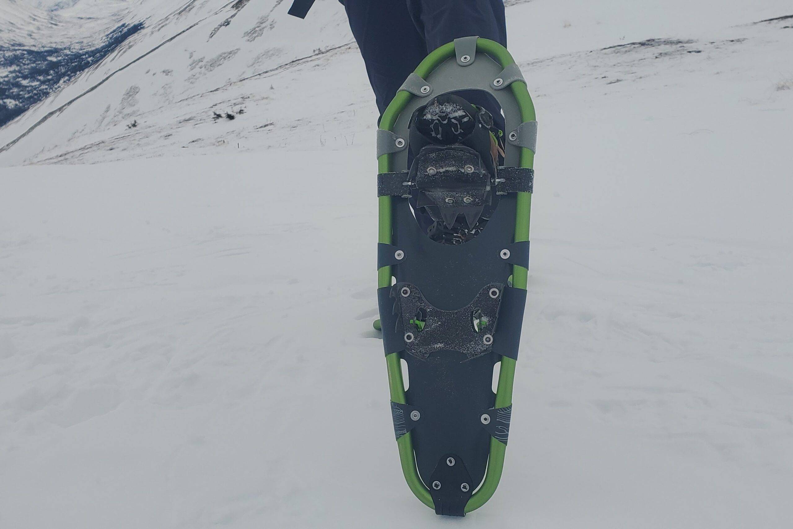 The underside of a pair of snowshoes