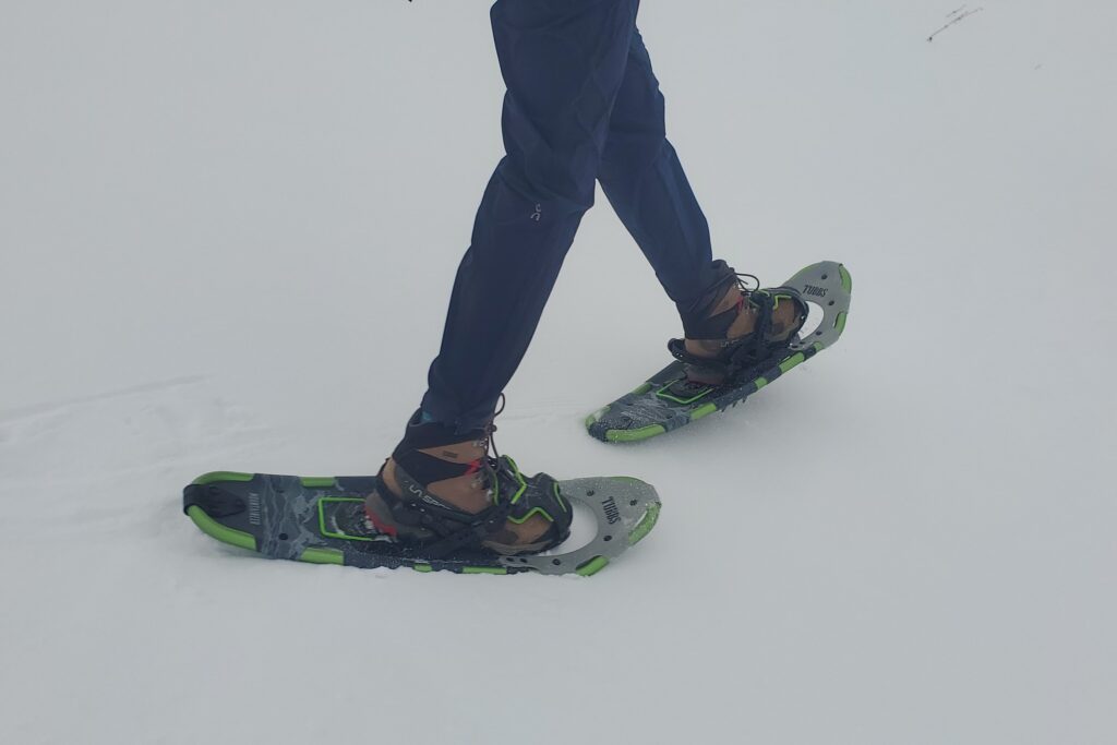 A closeup of snowshoes walking