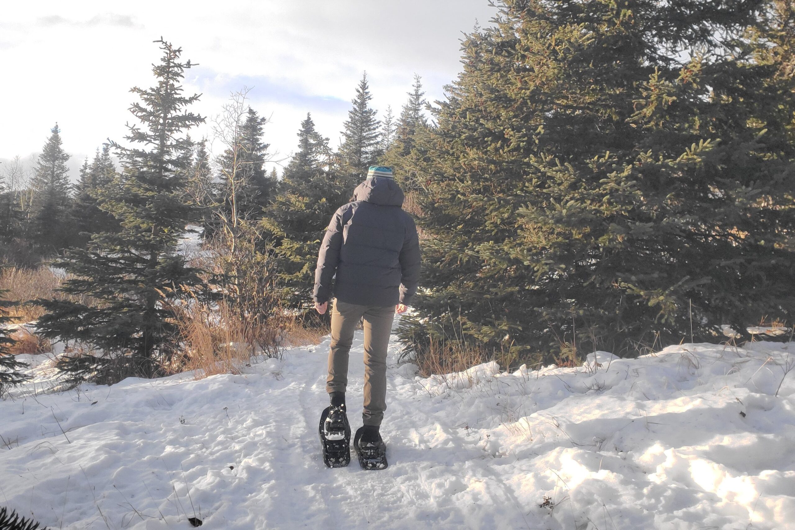 A man walks away from the camera on a snowy trail