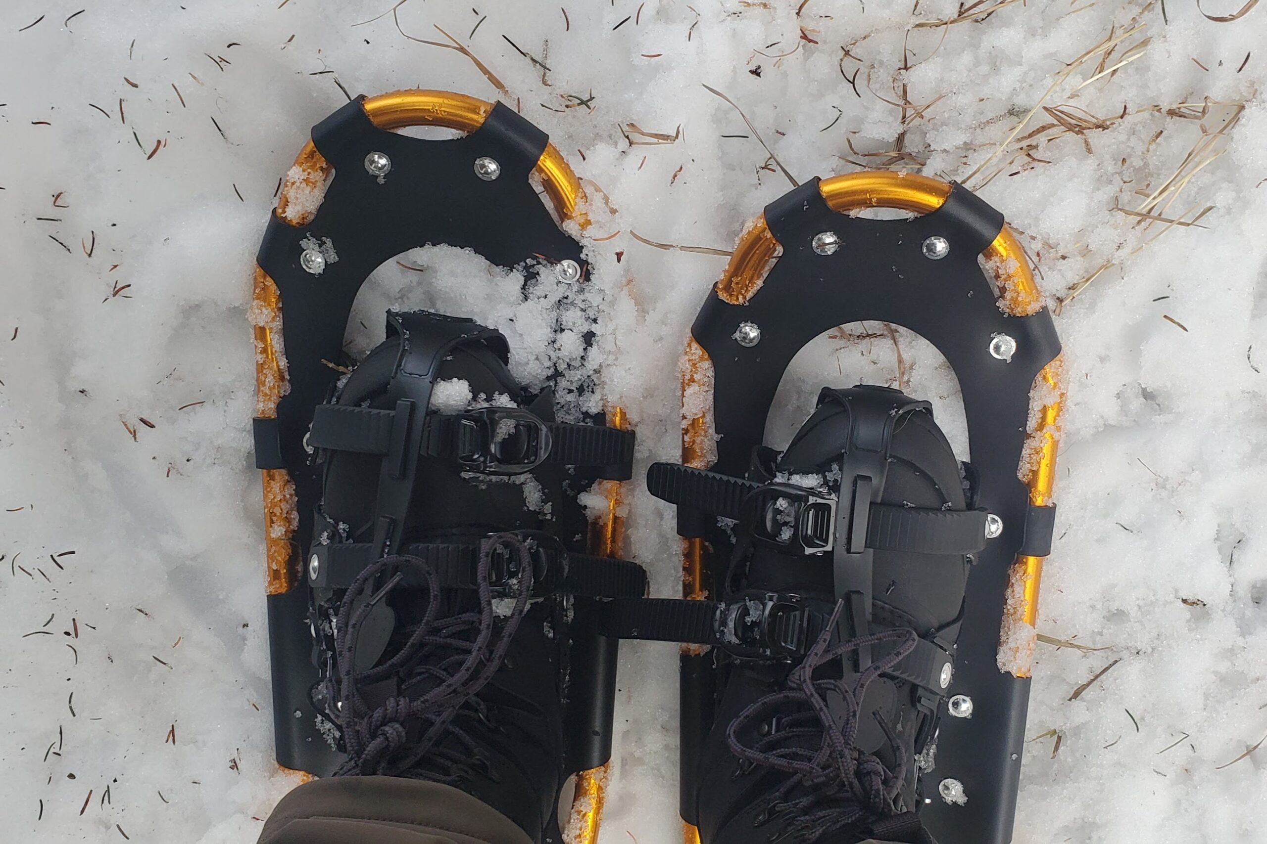 A pair of bindings on snowshoes.