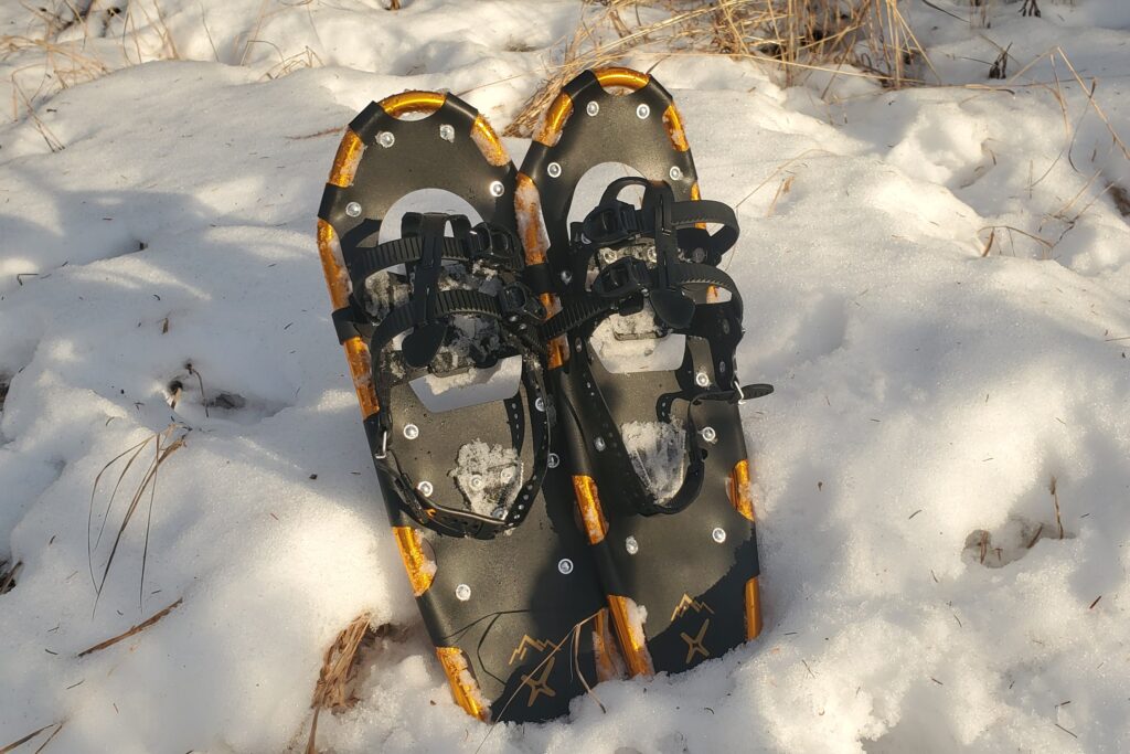 A pair of snowshoes standing in snow.