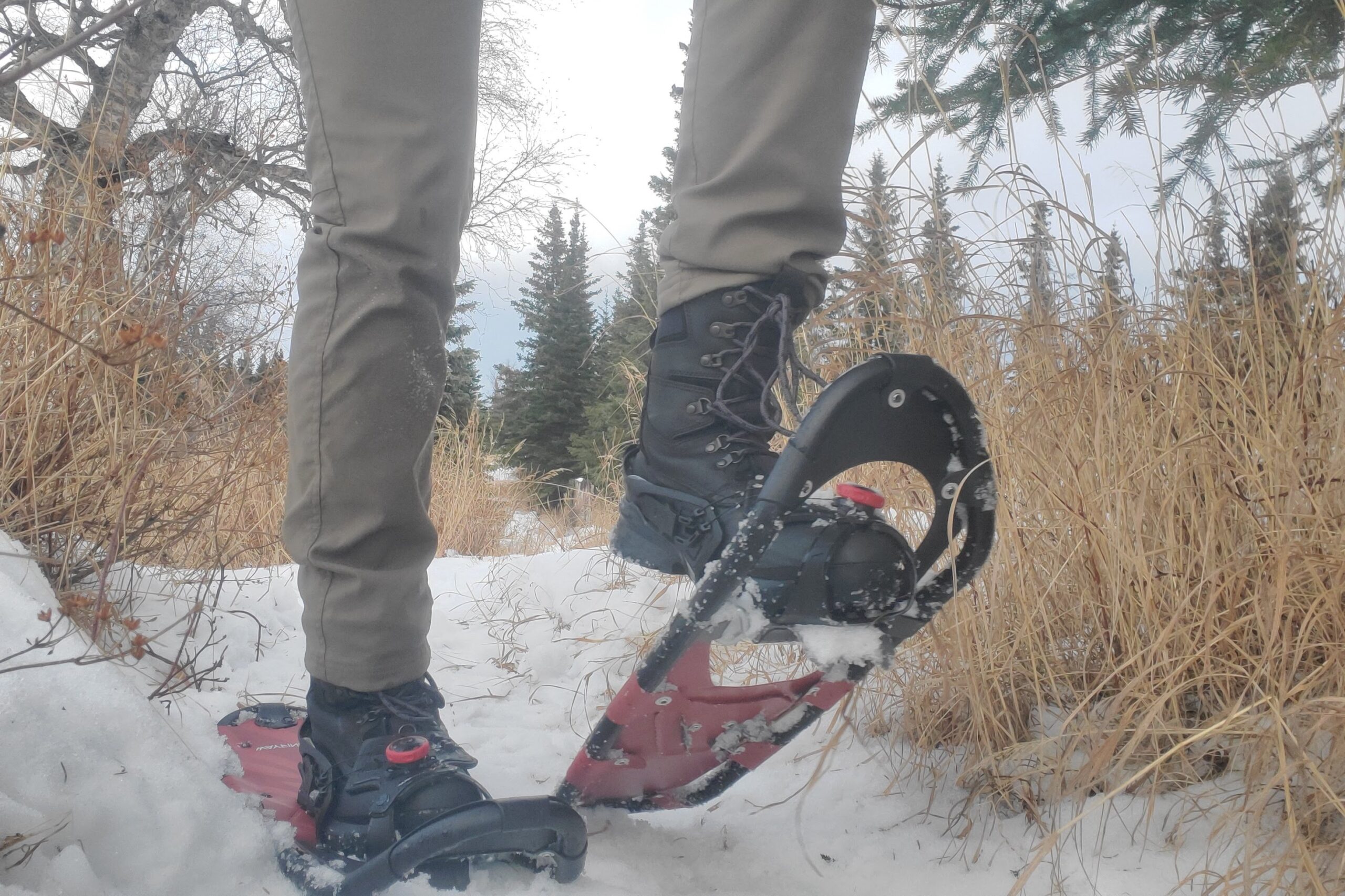 A man walks down a snowy trail in snowshoes.