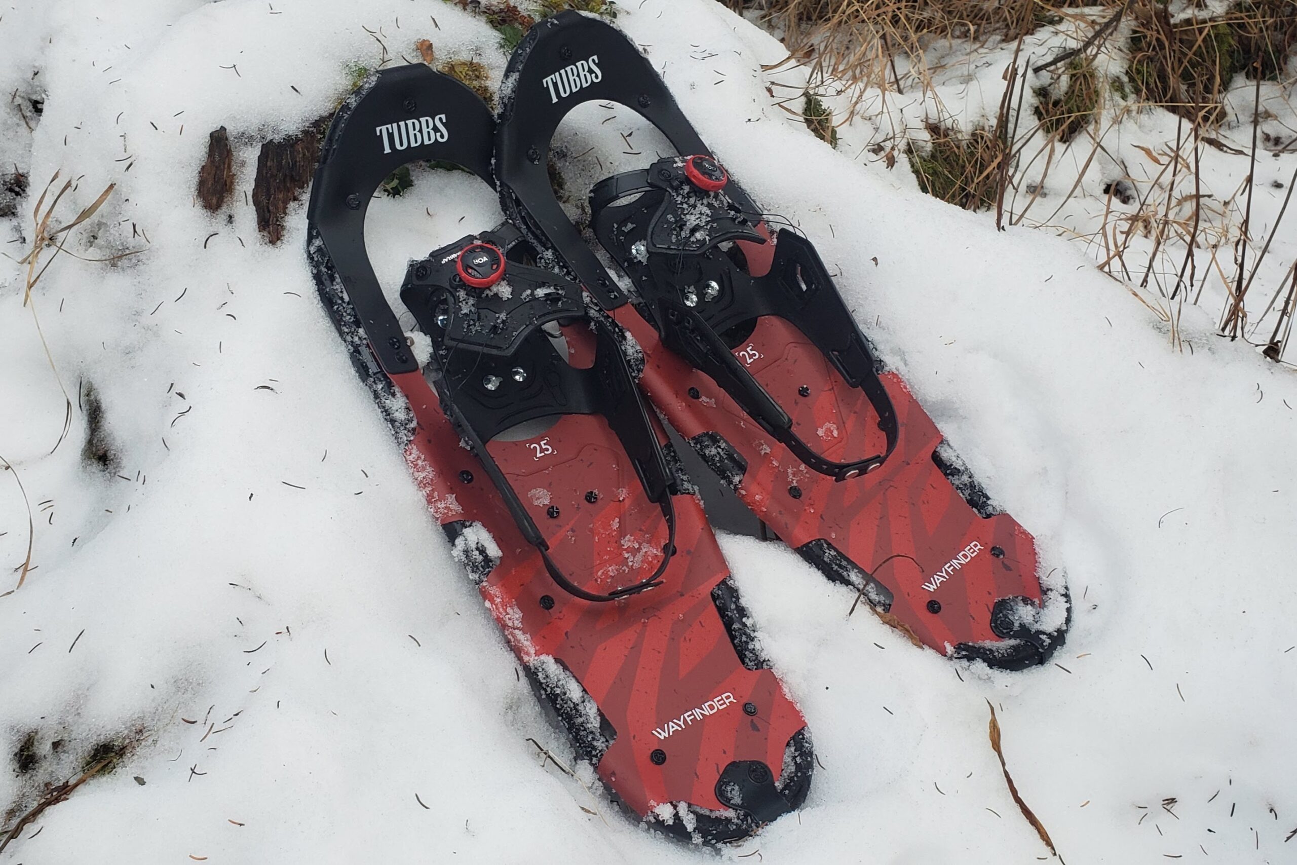 A pair of snowshoes leans against a stump