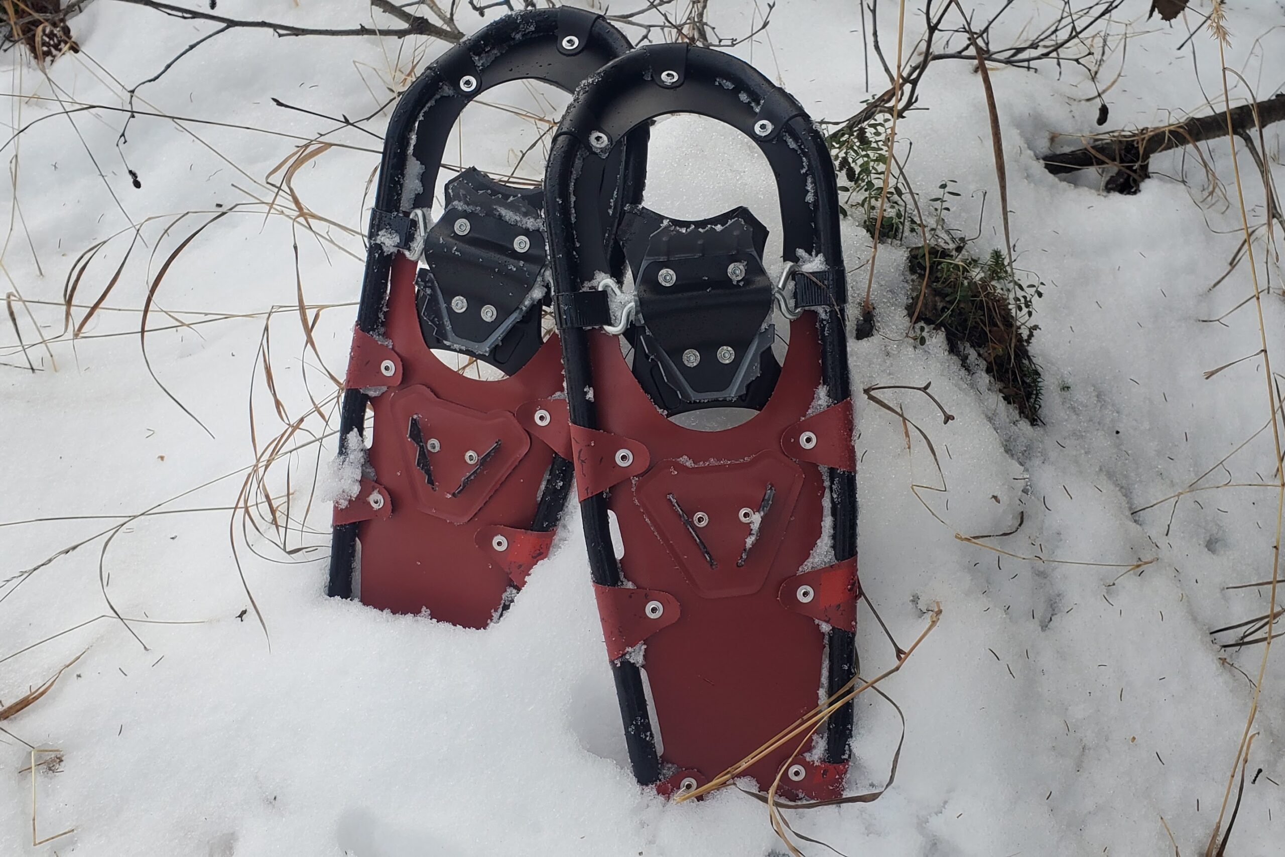 The underside of a pair of snowshoes.