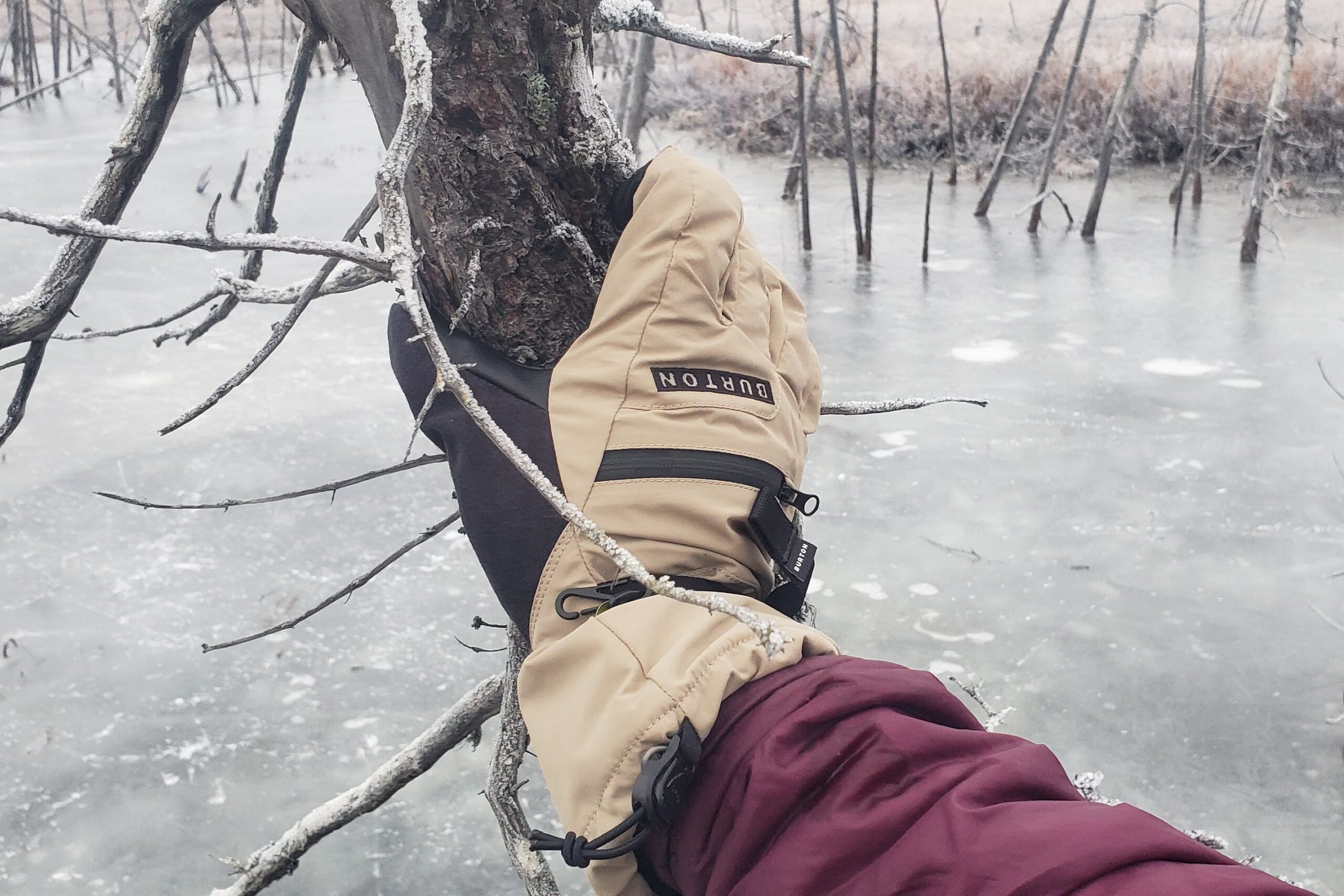 A closeup of a glove on a tree