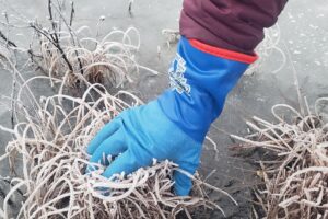 A closeup of gloves on ice.