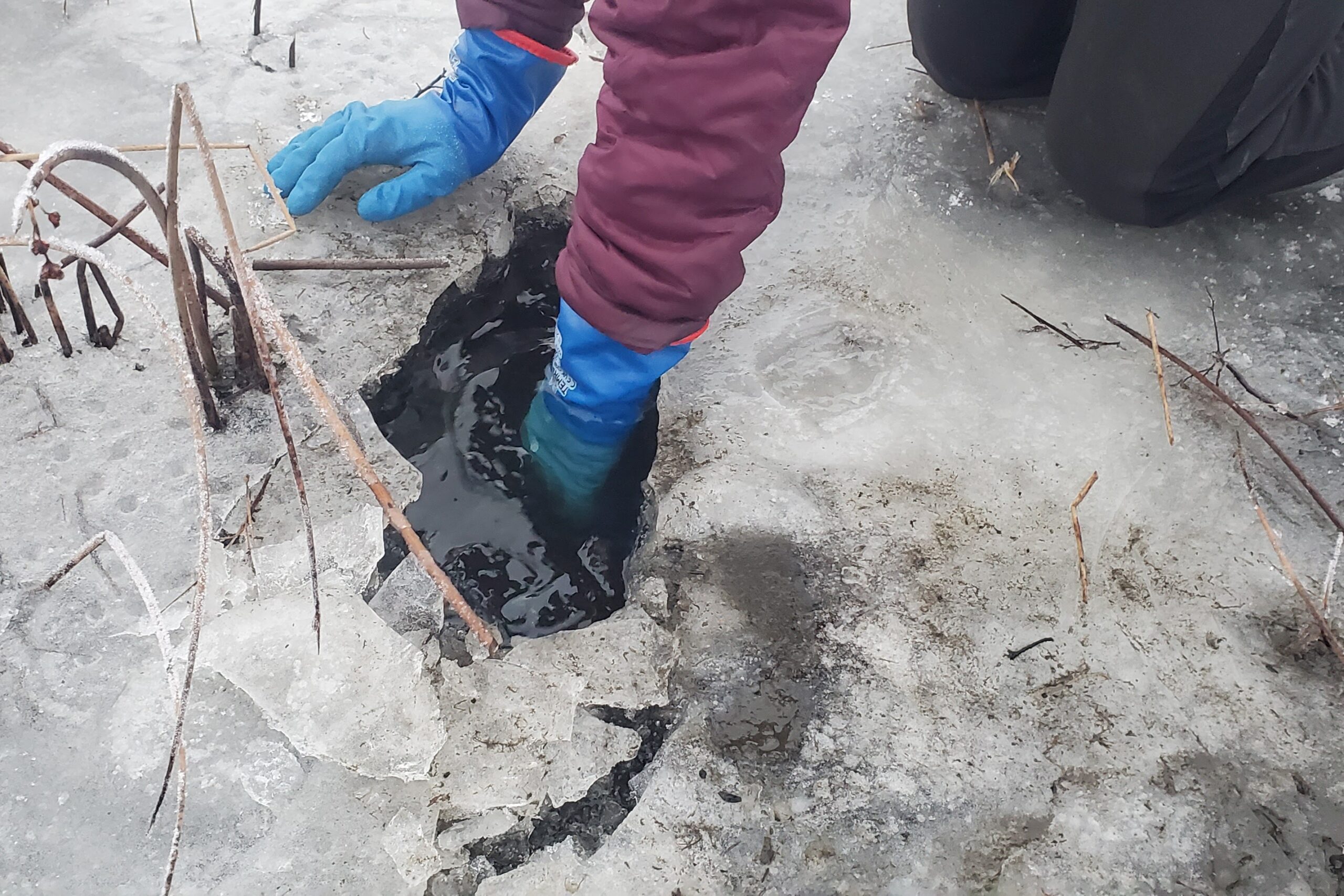 A man submerges gloves in muddy water.