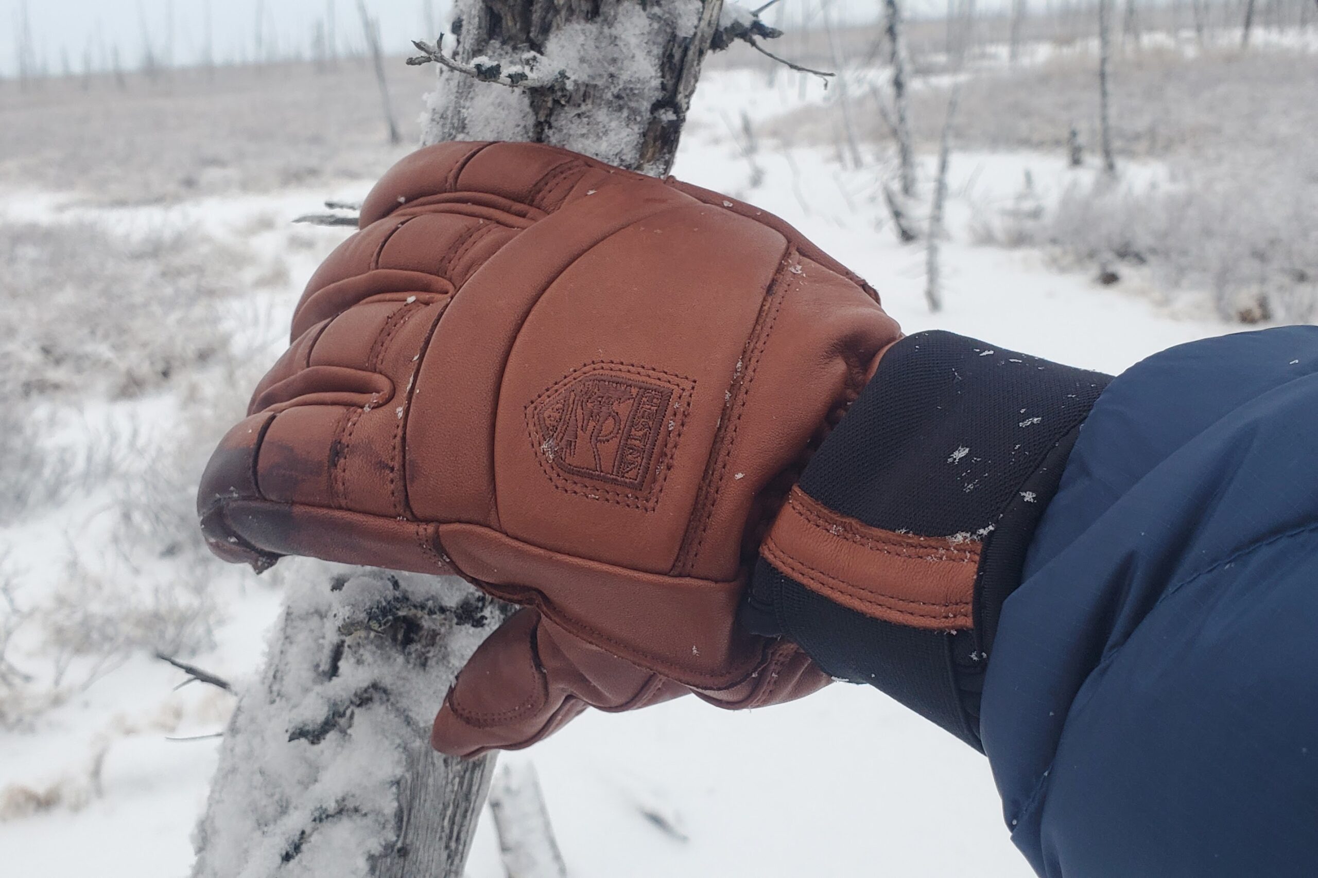 A closeup of the back of a winter glove.