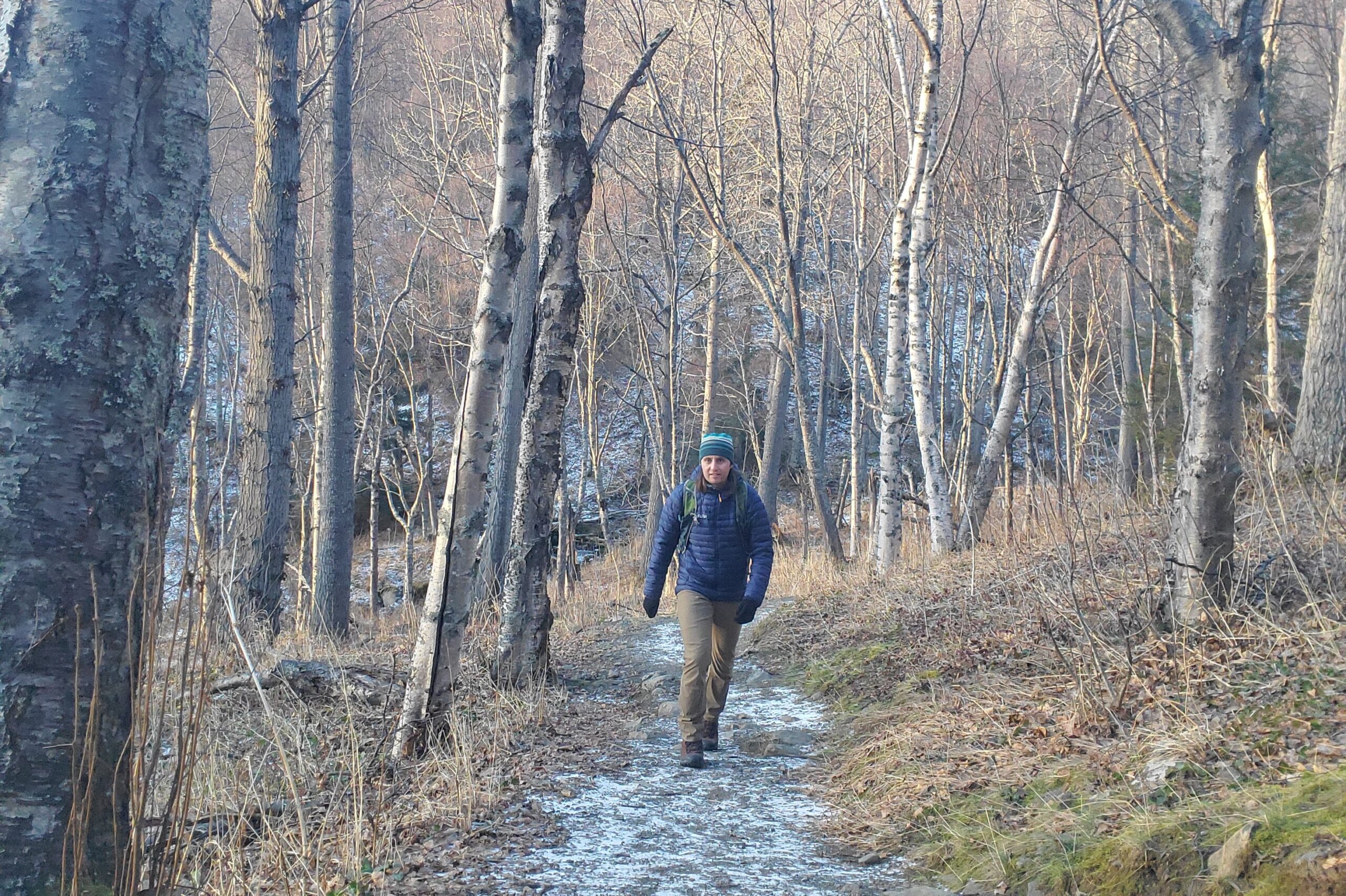 A man hikes uphill in early winter.