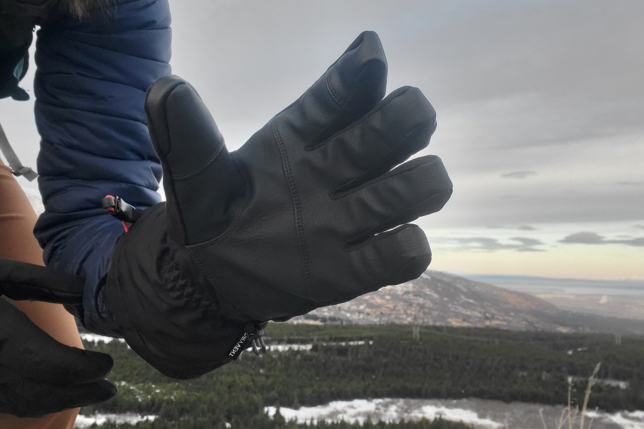 A closeup of the palms of gloves.