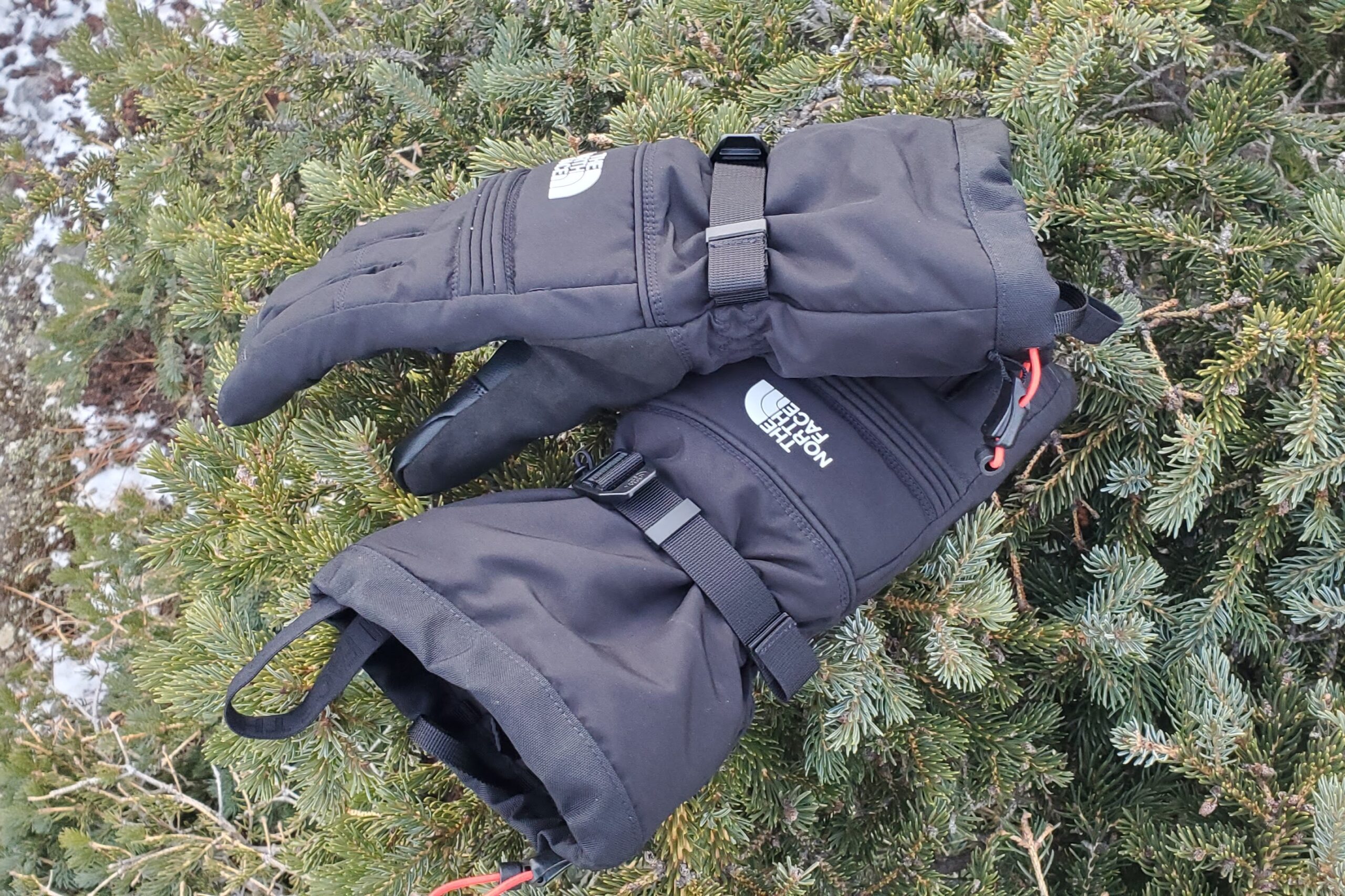 A pair of gloves sits on a spruce branch.