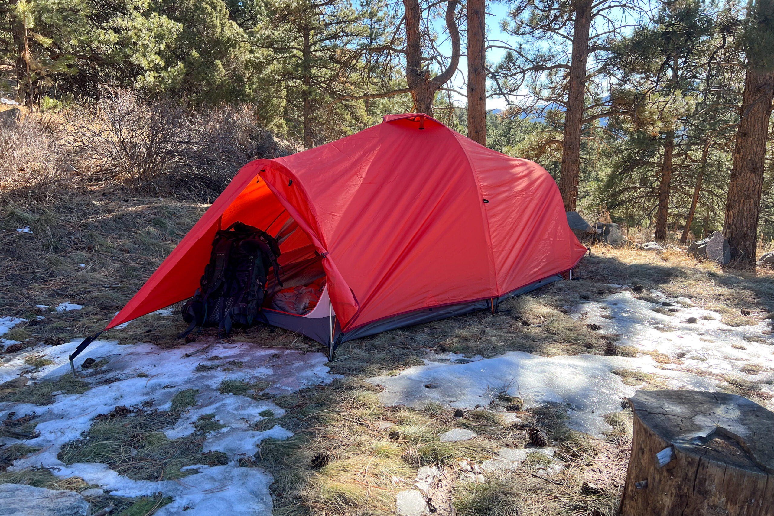 A side view of the Alps Mountaineering Tasmanian 2 tent set up in a snowy forest clearing. The tent's red rainfly is fully extended, covering the interior and vestibule.