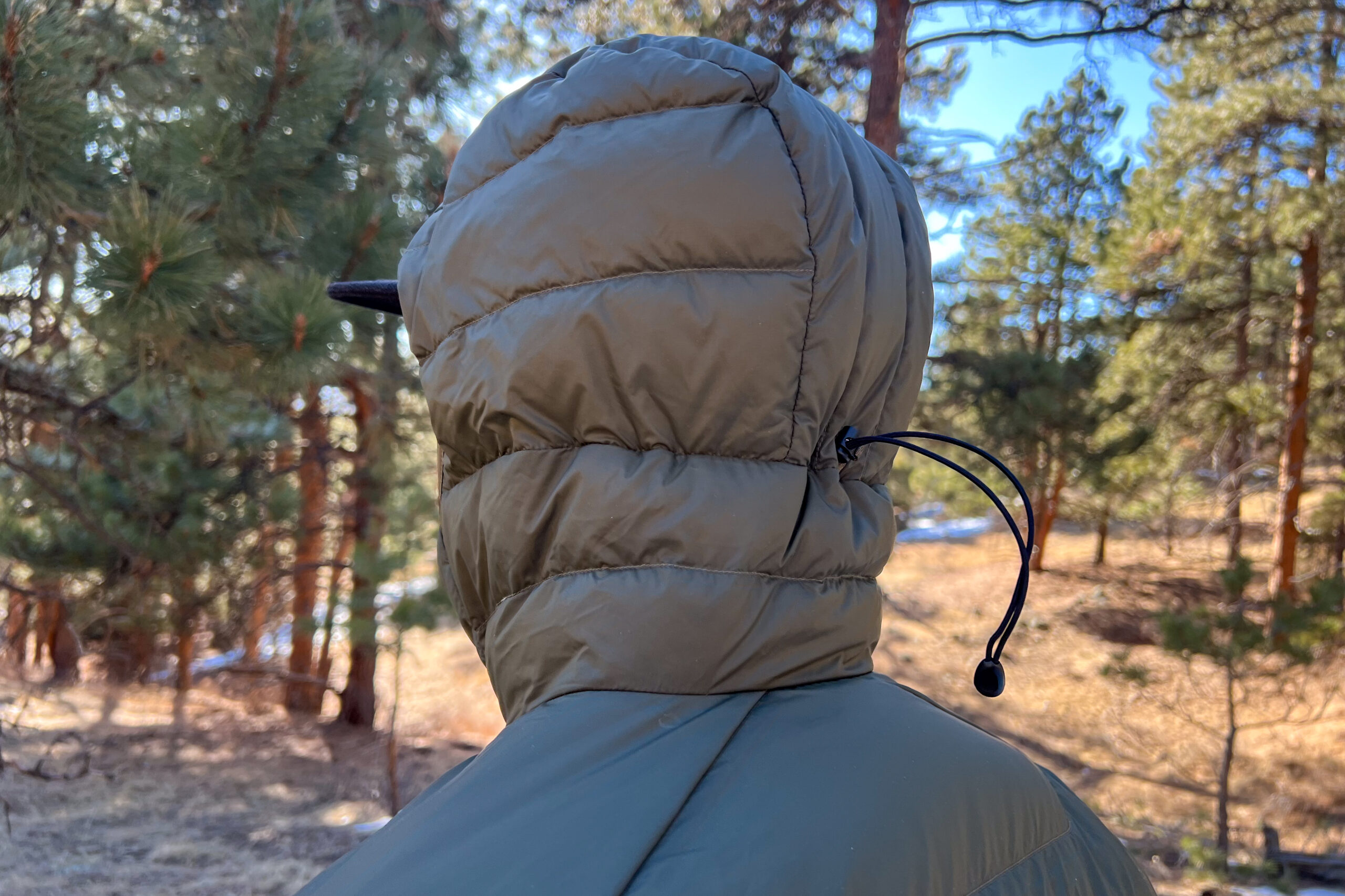 Back view of the Arc'teryx Cerium Hoody showing the adjustable drawcord on the hood, set against a backdrop of trees and sunlight.