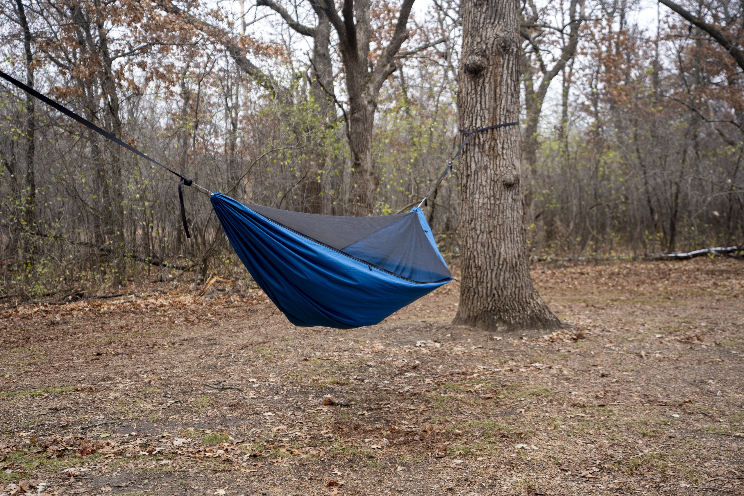 a blue hammock hangs in a forest clearing