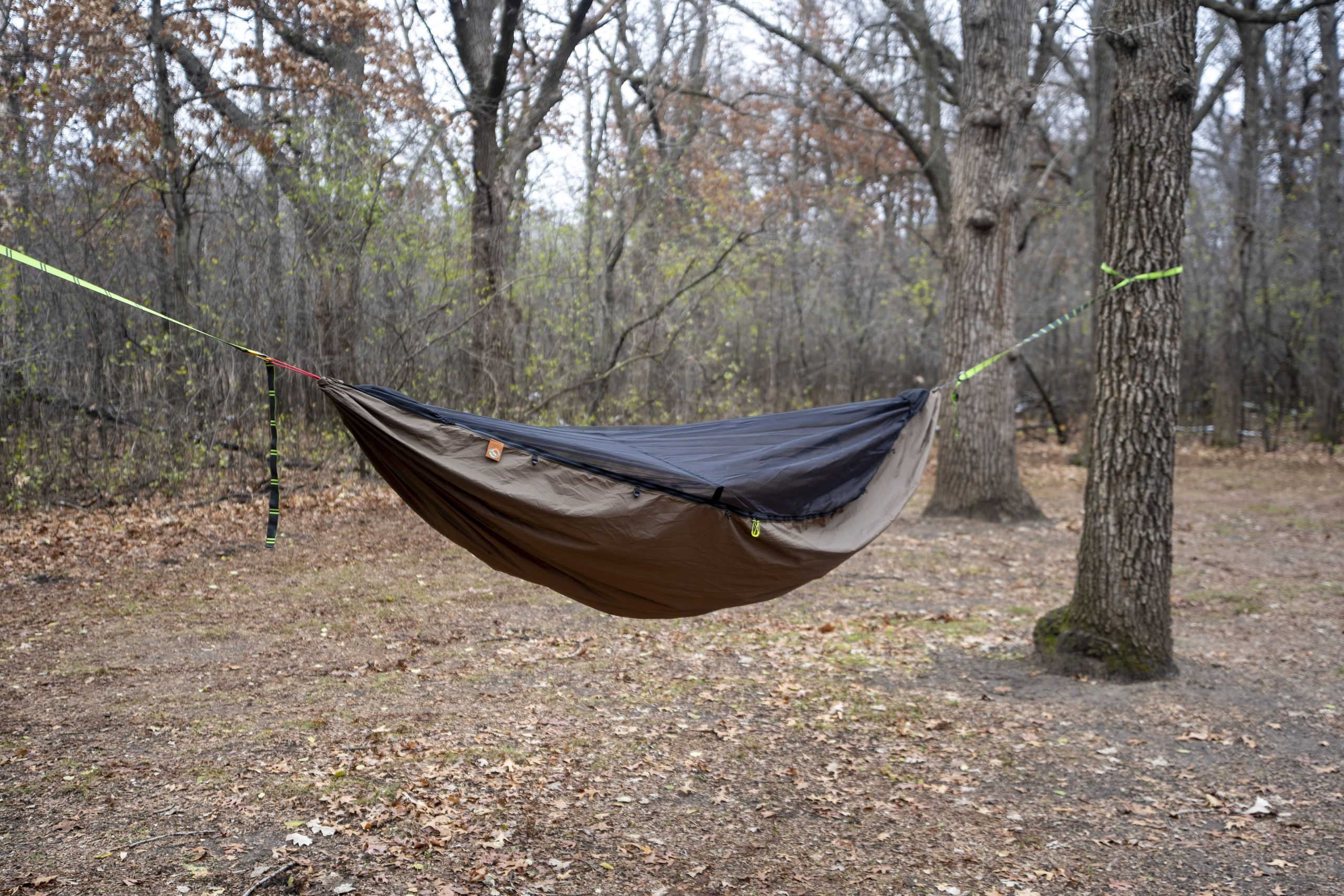 a green hammock in a forest clearing