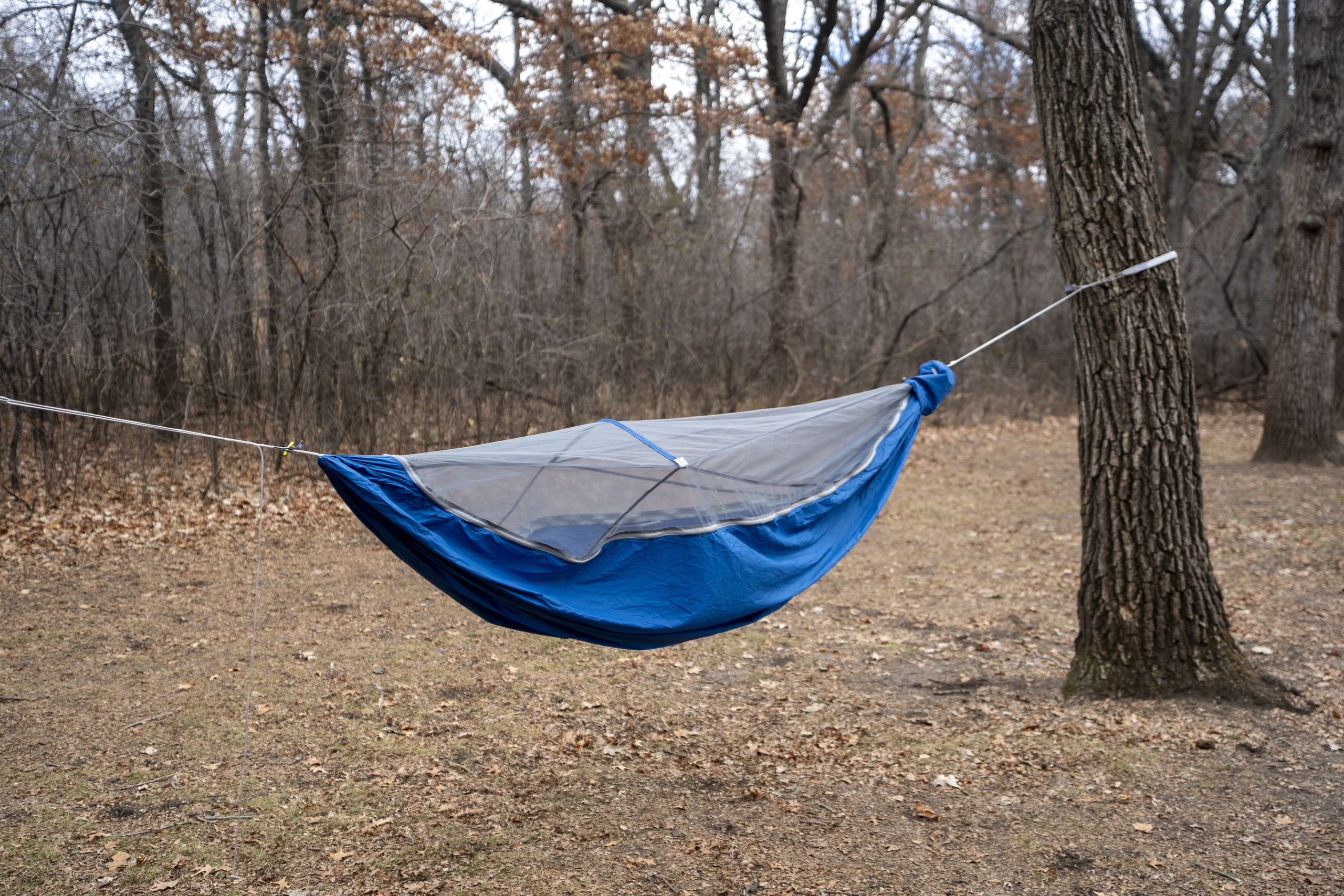 a blue hammock hangs in a forest clearing