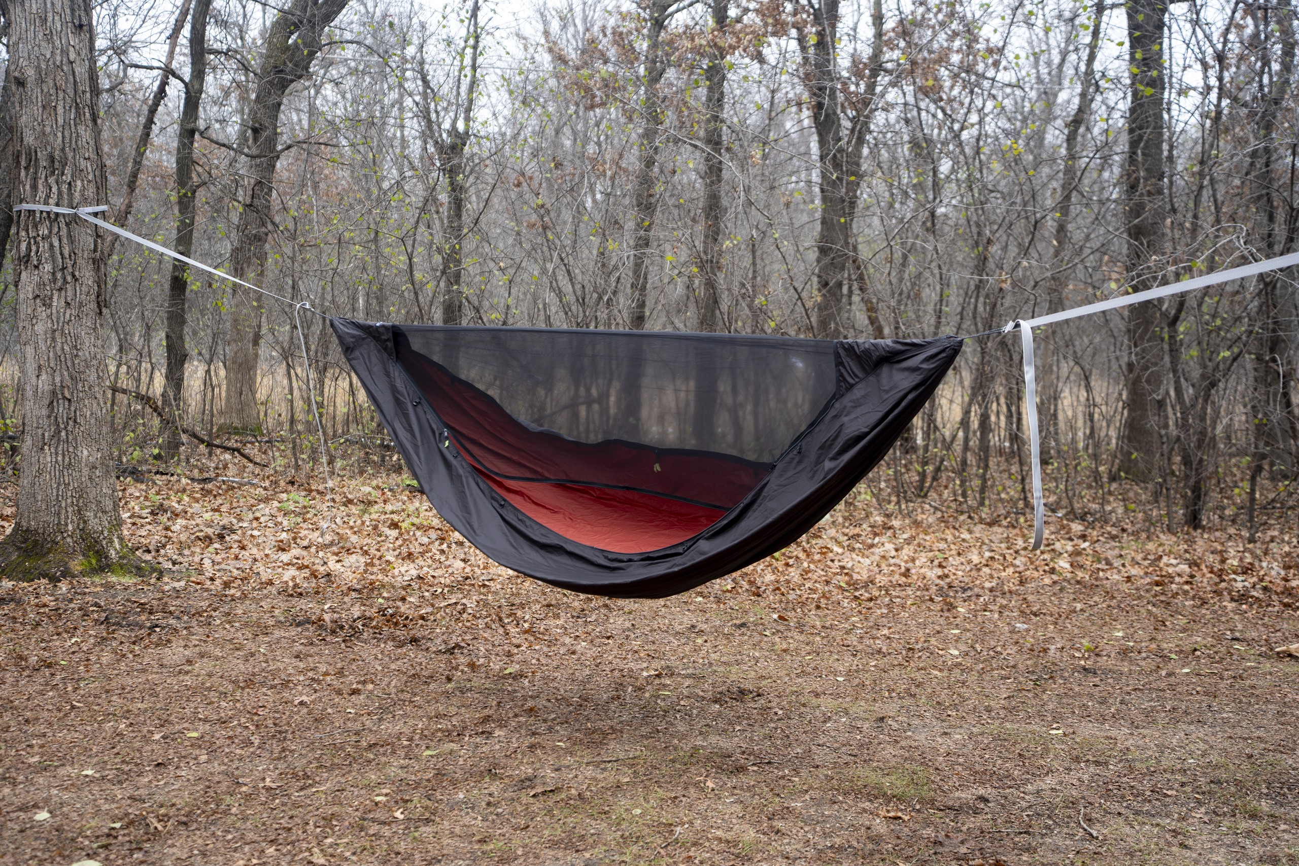 A black hammock with red interior hangs in a forest clearing